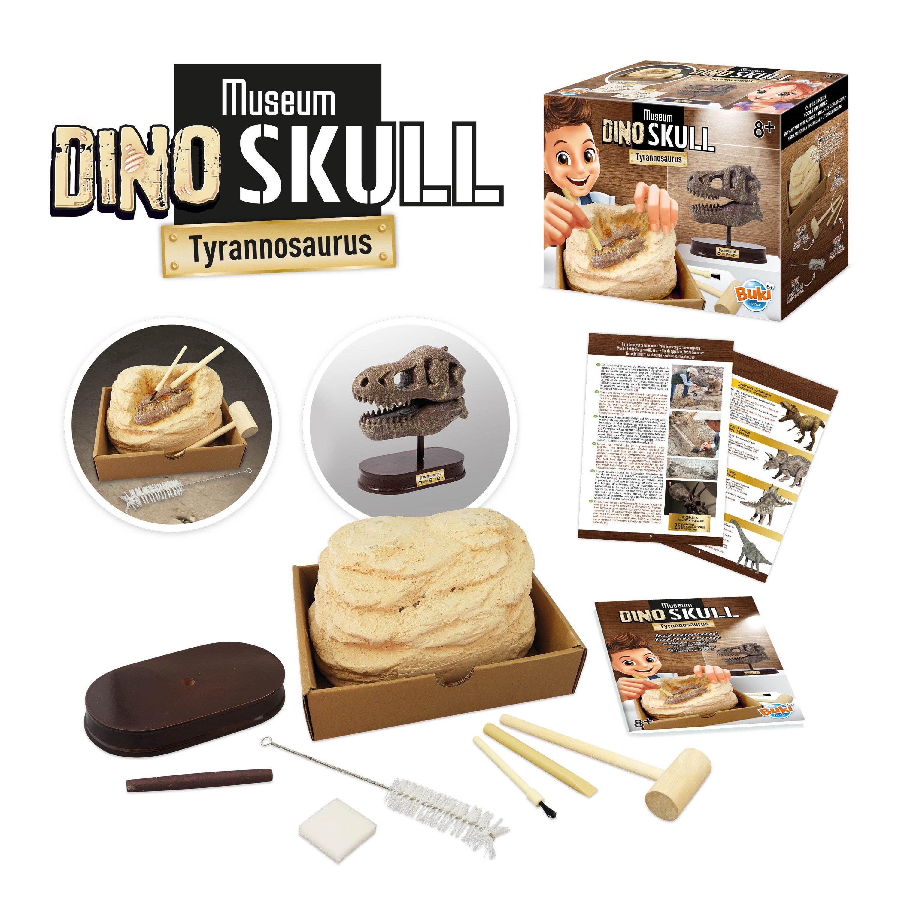 None - Buki France - T-Rex Museum Skull - 1
