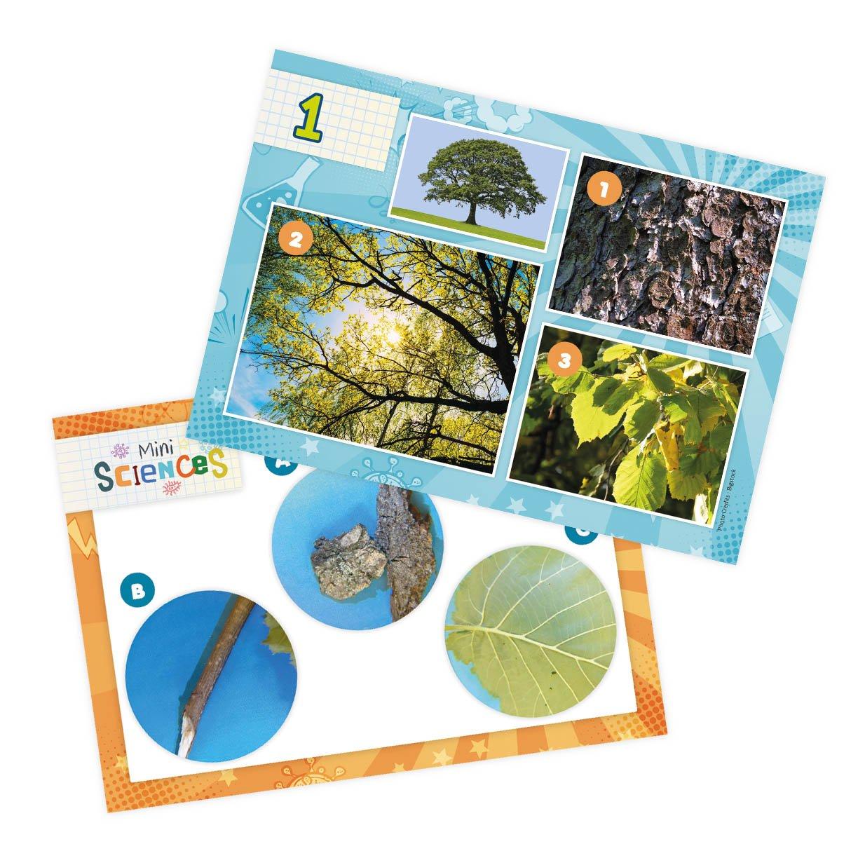 Multi - Buki France - Junior Microscope - 4