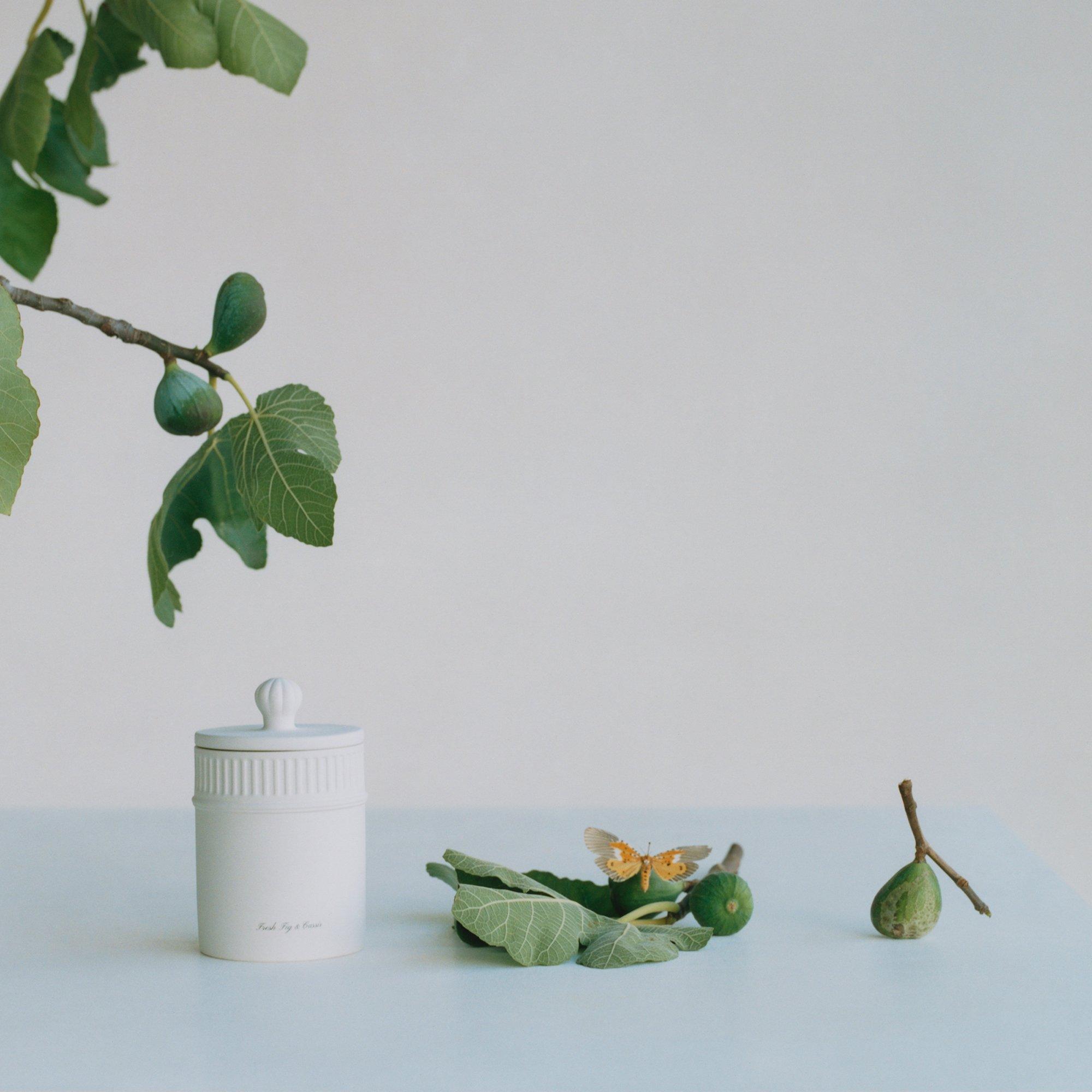 - - Jo Malone London - Fresh Fig and Cassis Ceramic Candle - 2