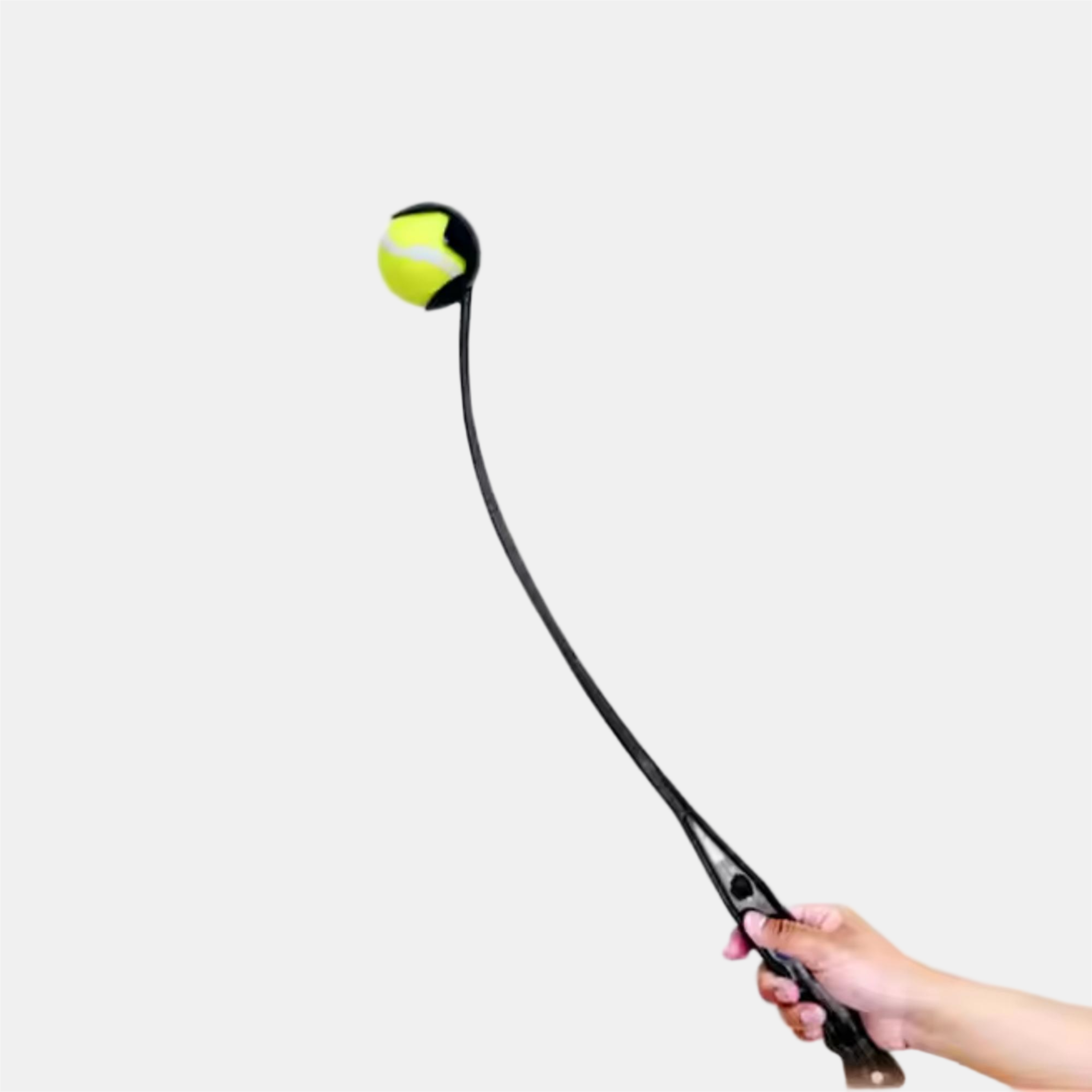 Black - Waggy Tails - Ball Launch - 2