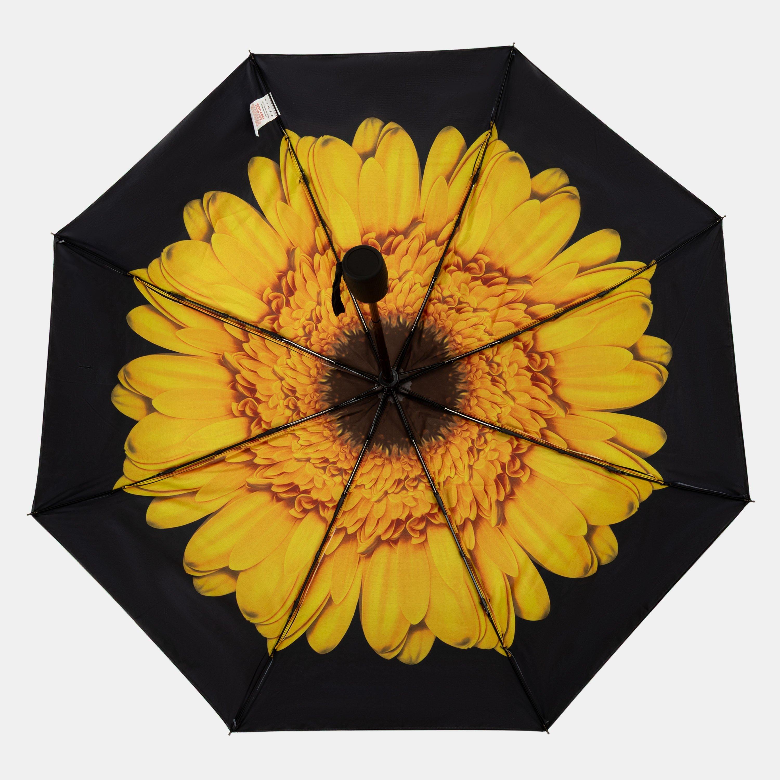 Colour 2 - Linea - Adults Lyr 54 Umbrella - 3