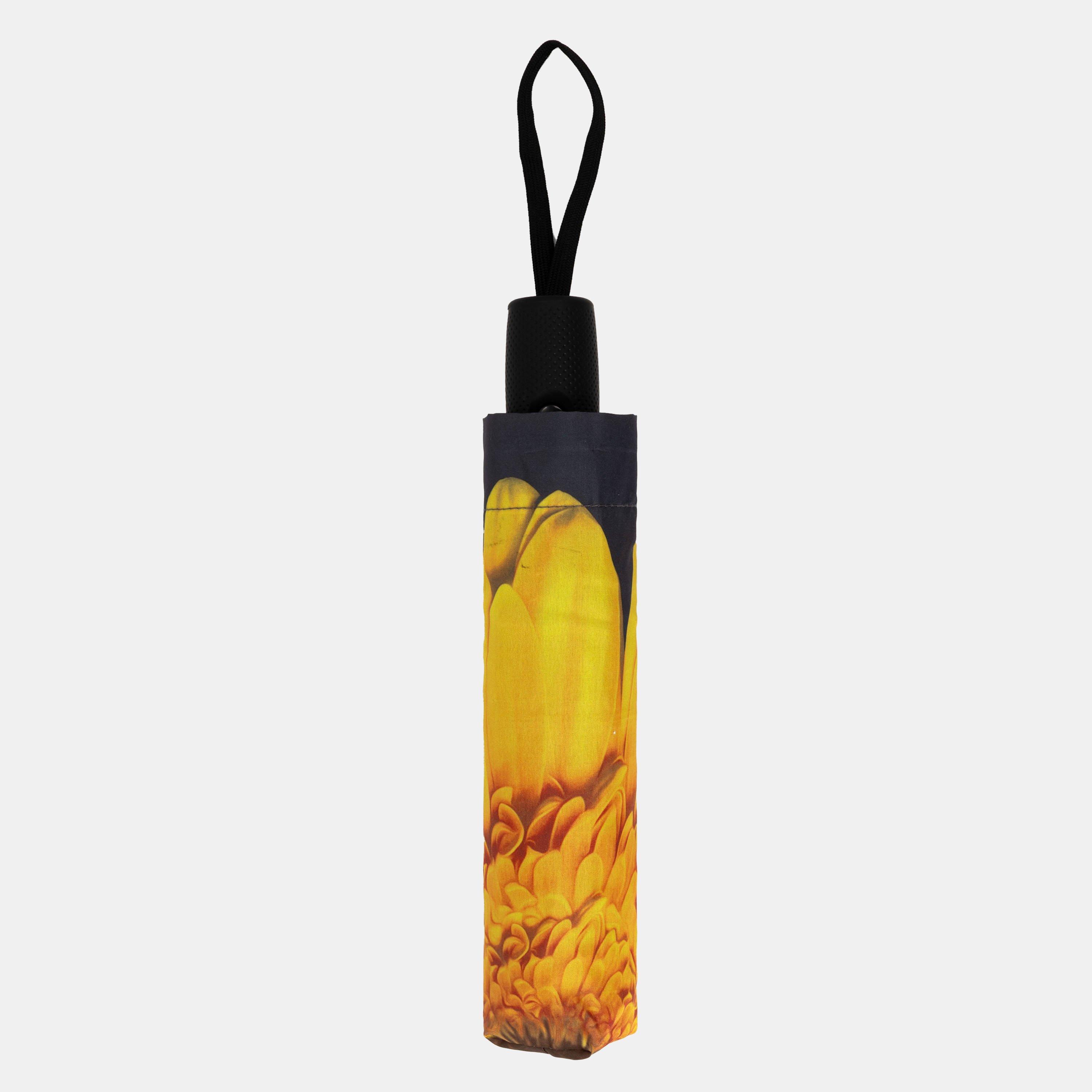Colour 2 - Linea - Adults Lyr 54 Umbrella - 4