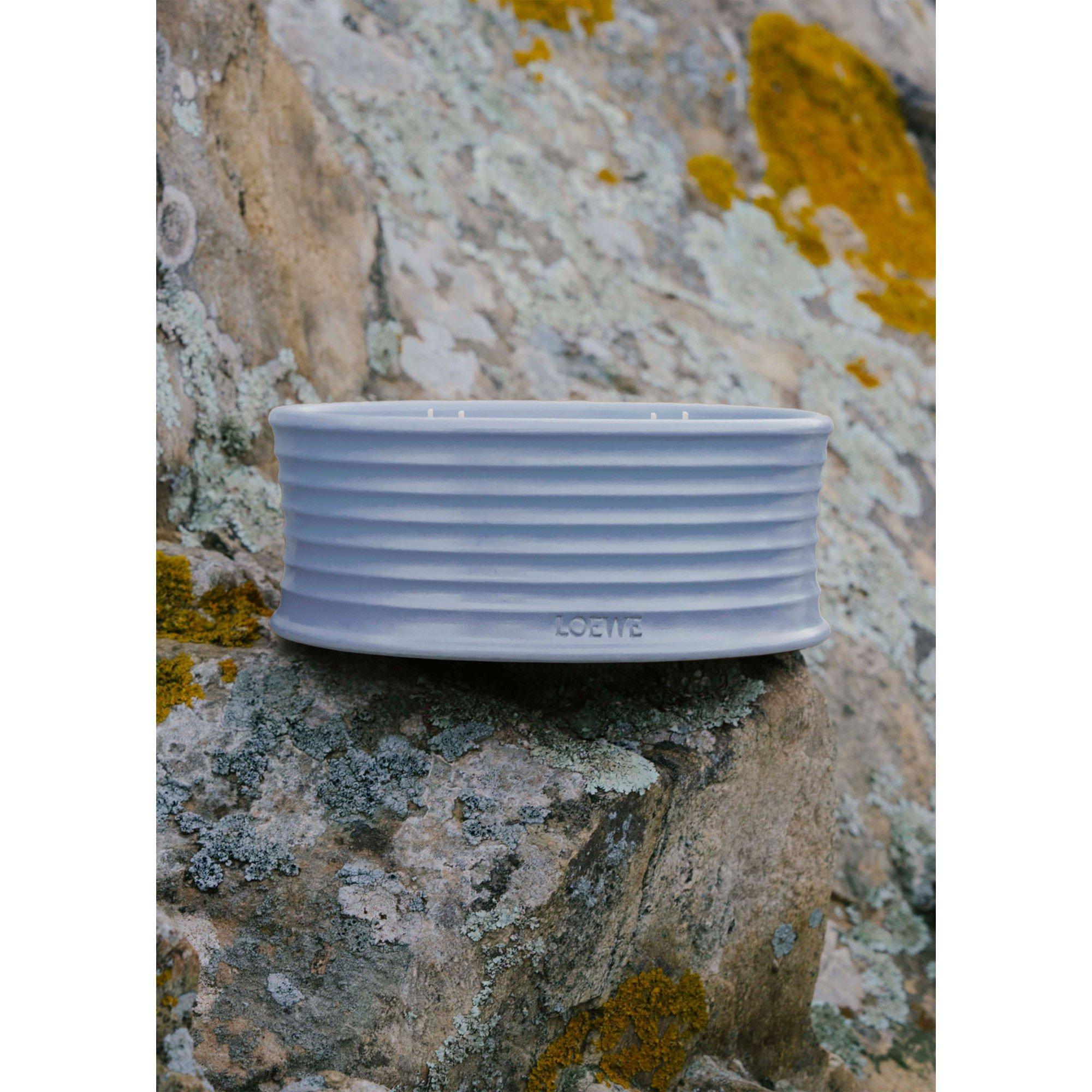 Not Applicable - Loewe - LOEWE VERBANA OUTDOOR CAN - 4