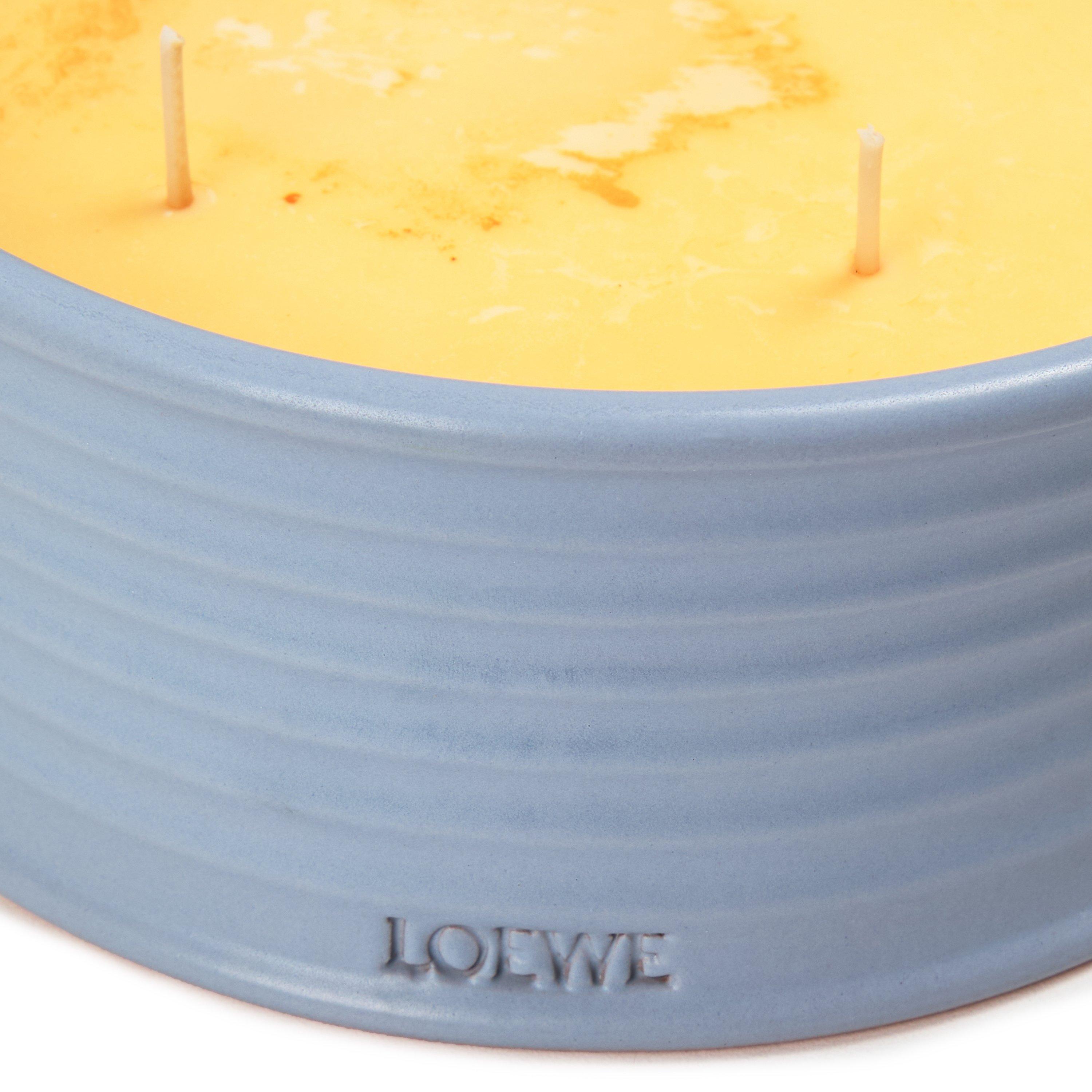 Not Applicable - Loewe - LOEWE VERBANA OUTDOOR CAN - 5