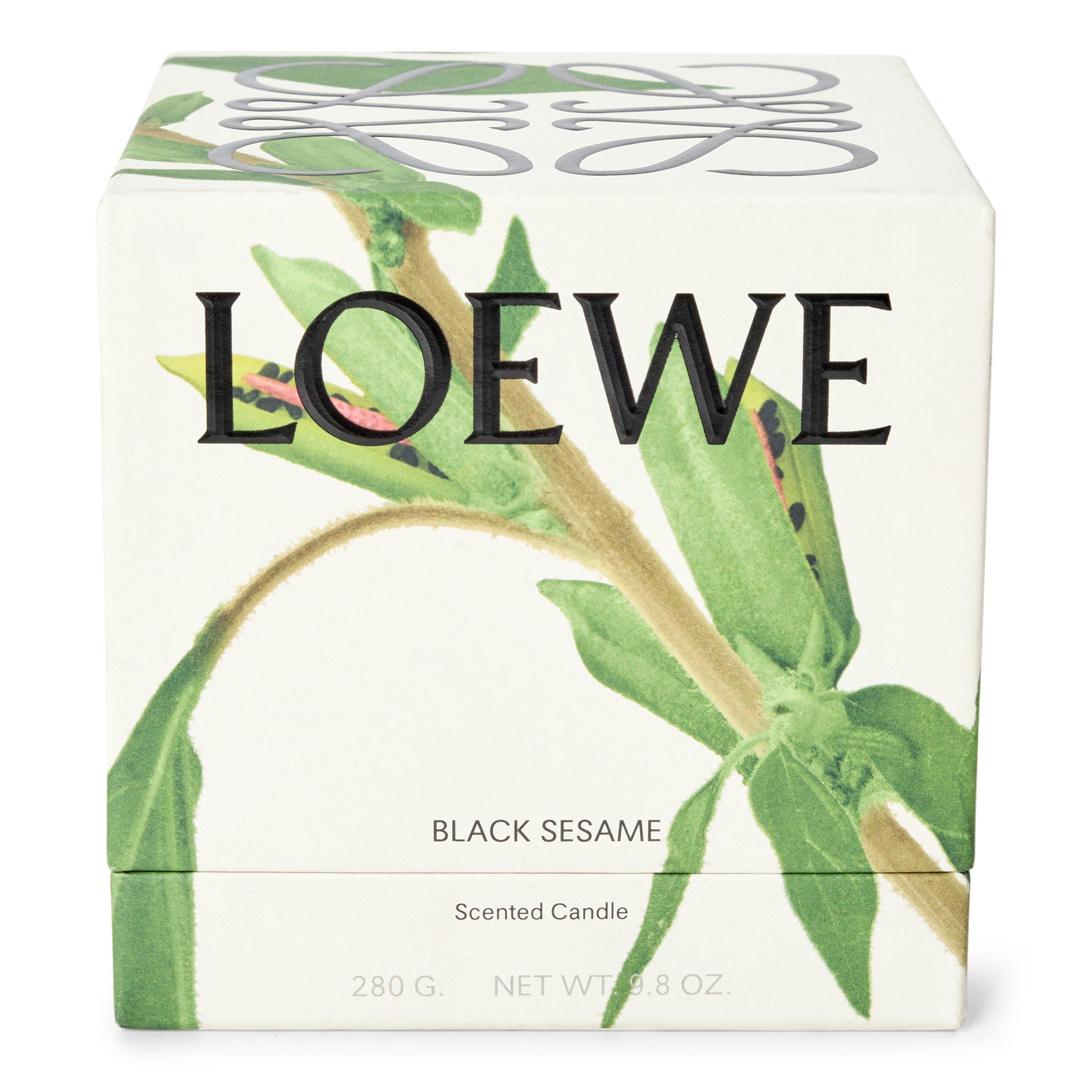 Not Applicable - LOEWE - LOEWE Black Sesame Midi S - 1