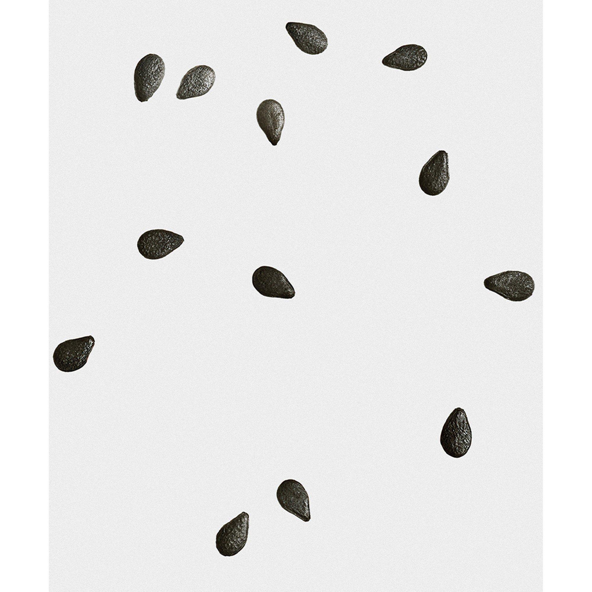Not Applicable - LOEWE - LOEWE Black Sesame Midi S - 3