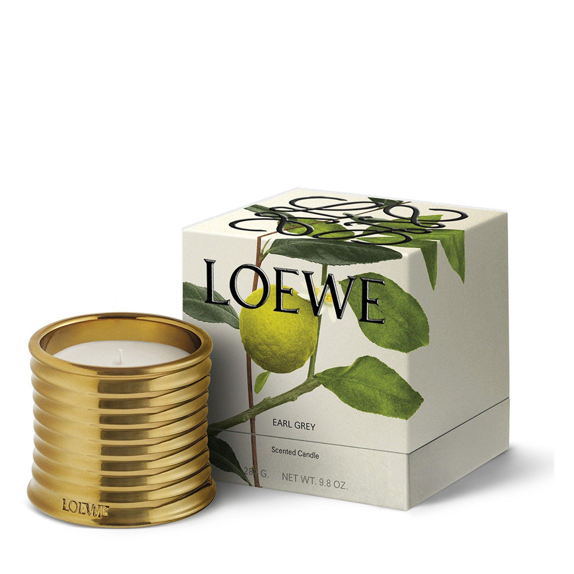 Not Applicable - Loewe - LOEWE Earl Grey Midi Scen - 2