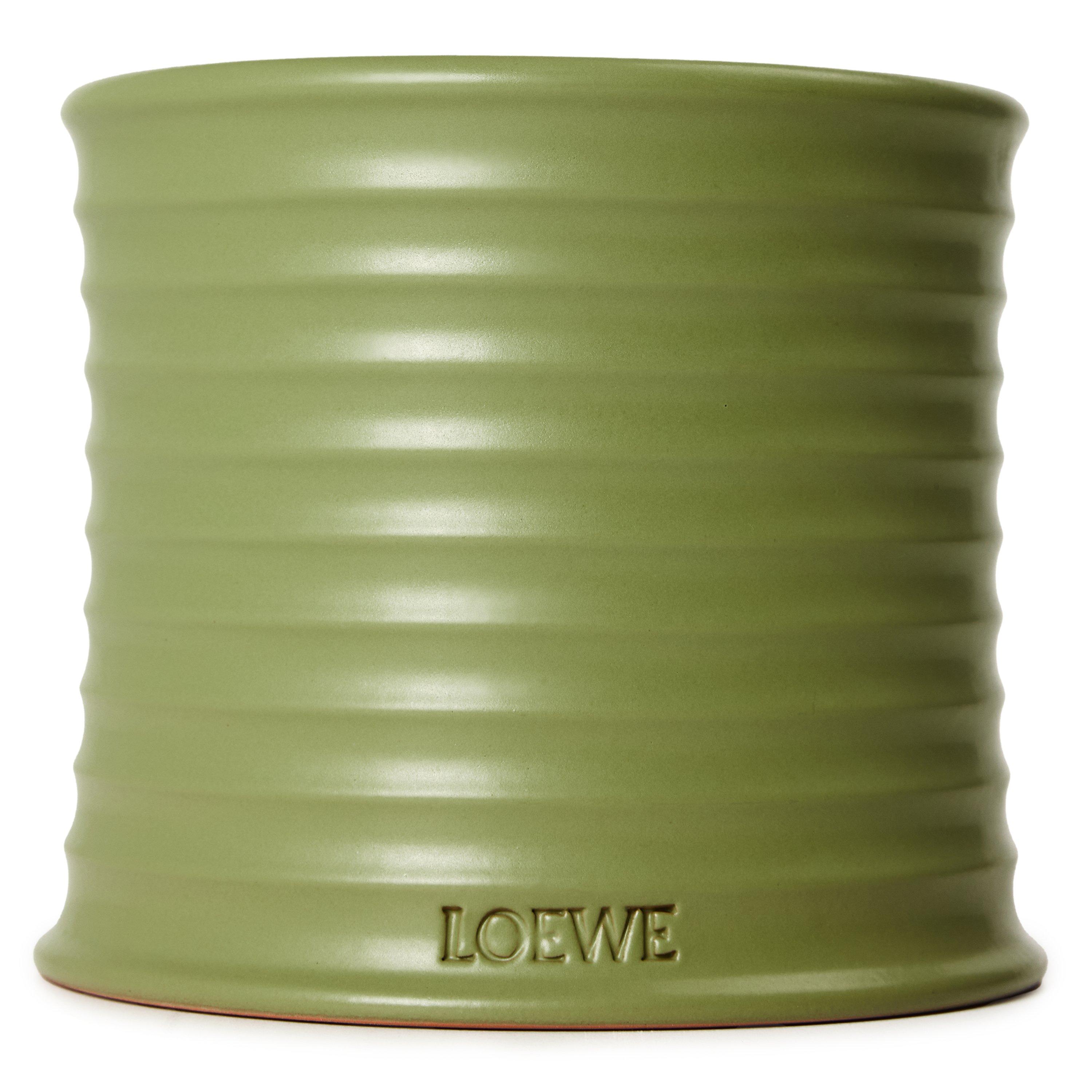 Not Applicable - Loewe - LOEWE Pistachio Medium Sc - 1