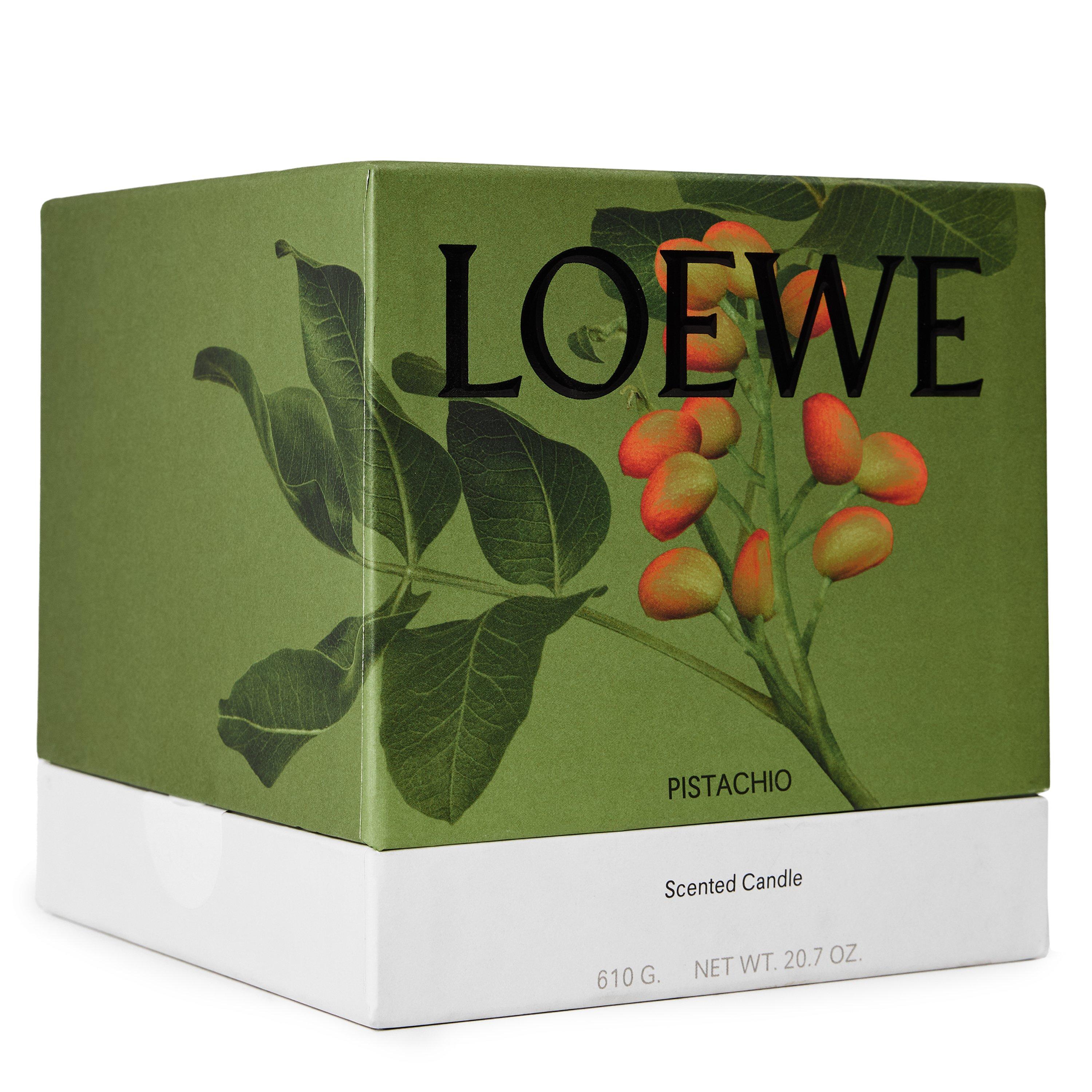 Not Applicable - Loewe - LOEWE Pistachio Medium Sc - 2