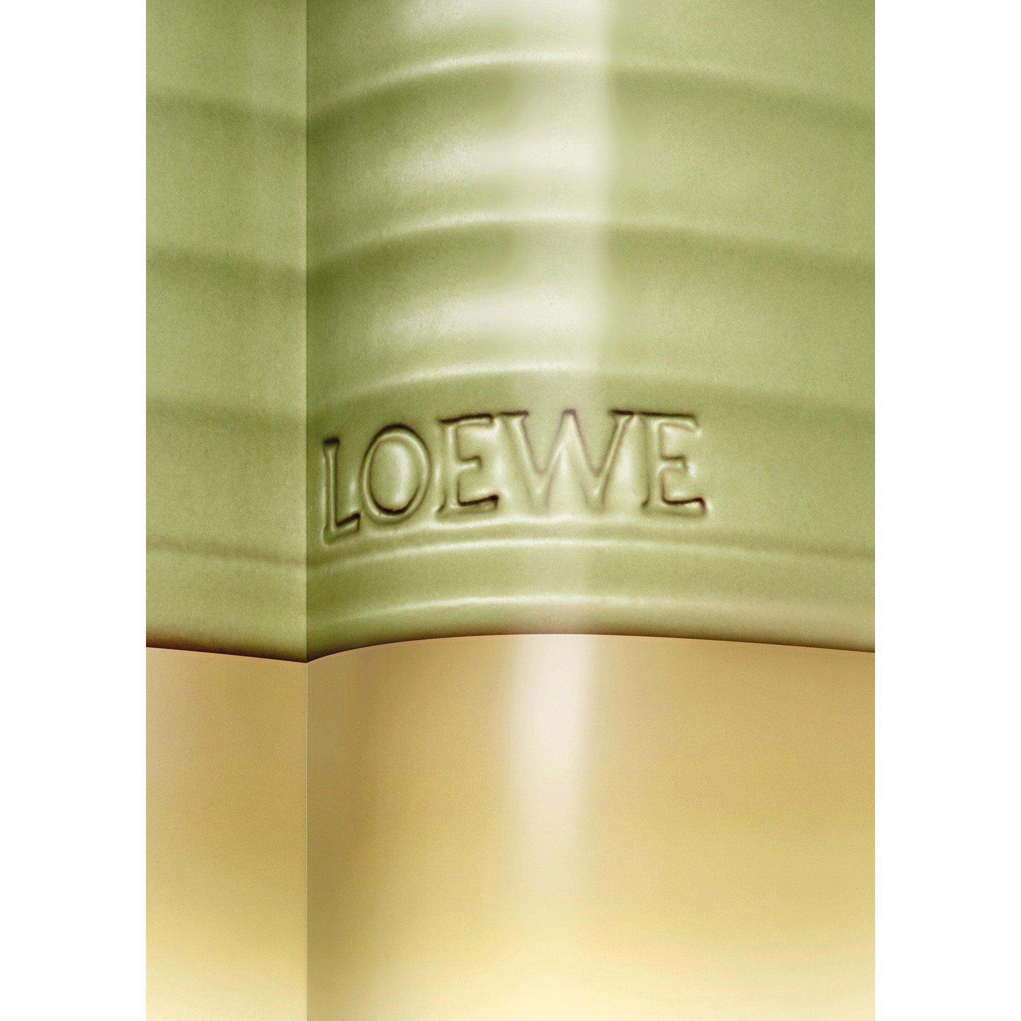 Not Applicable - Loewe - LOEWE Pistachio Medium Sc - 4