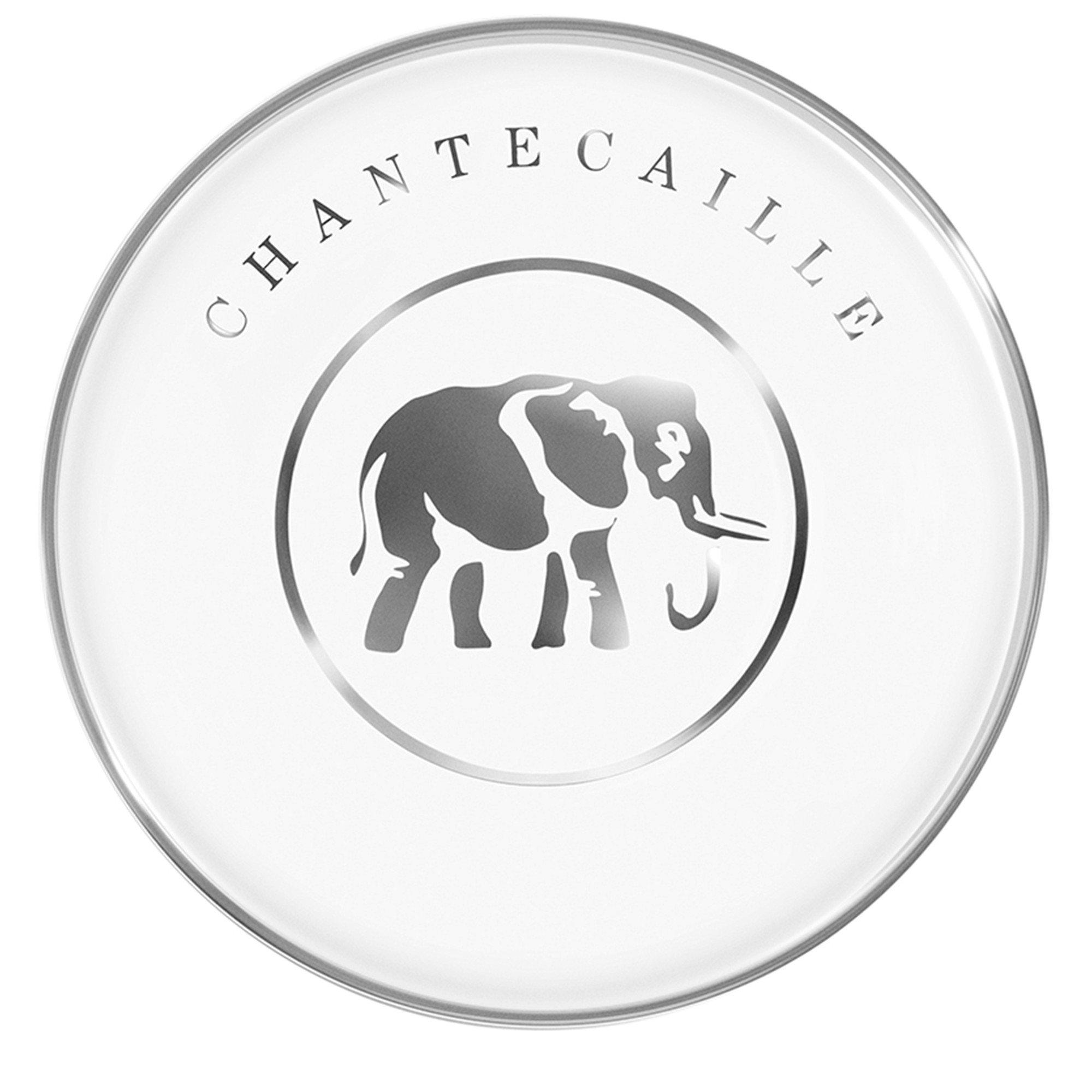 NATURAL 08 - Chantecaille - FUTURE SKIN CUSHION FOUNDATION - 3