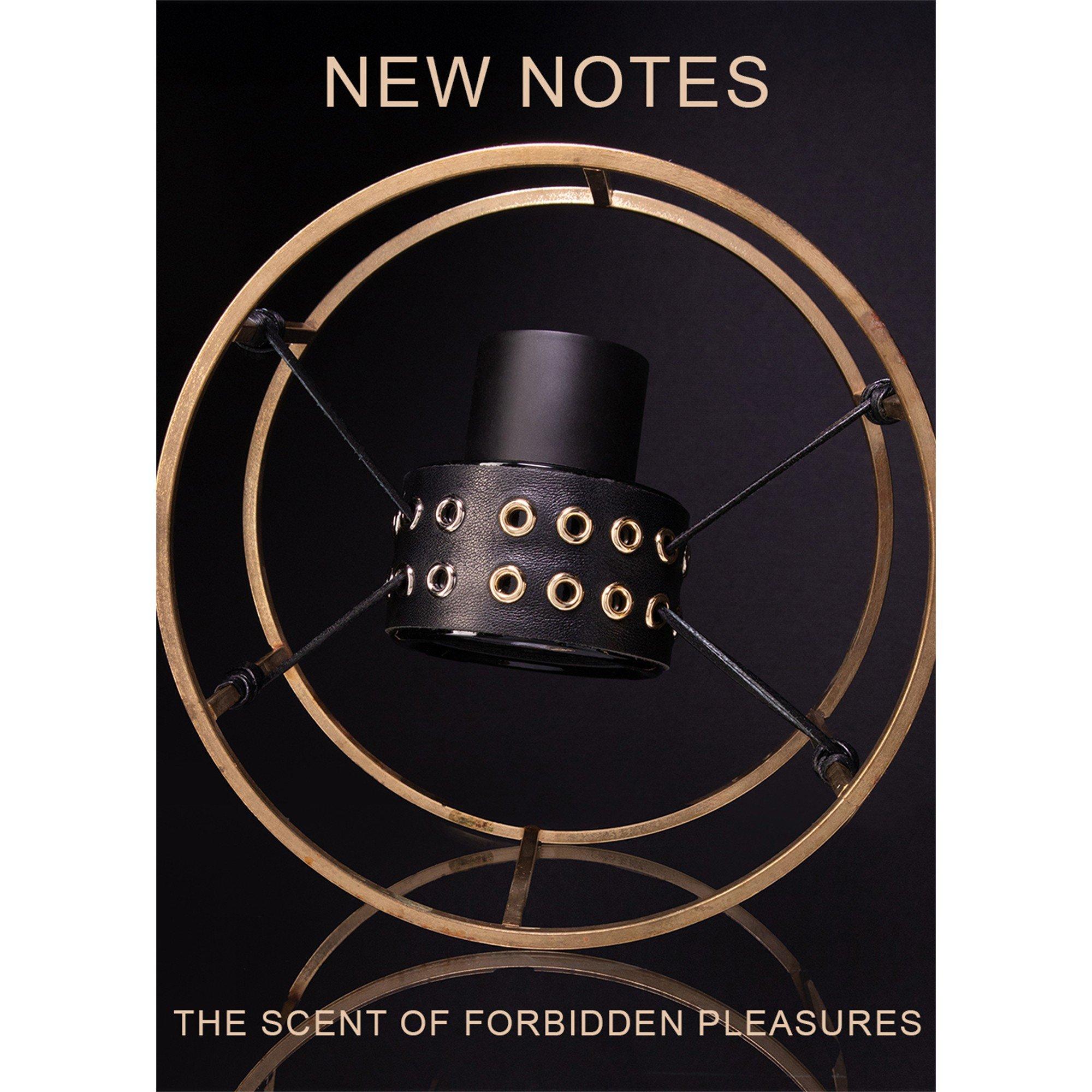 Not Applicable - New Notes - Erotika Maximale Extrait - 2