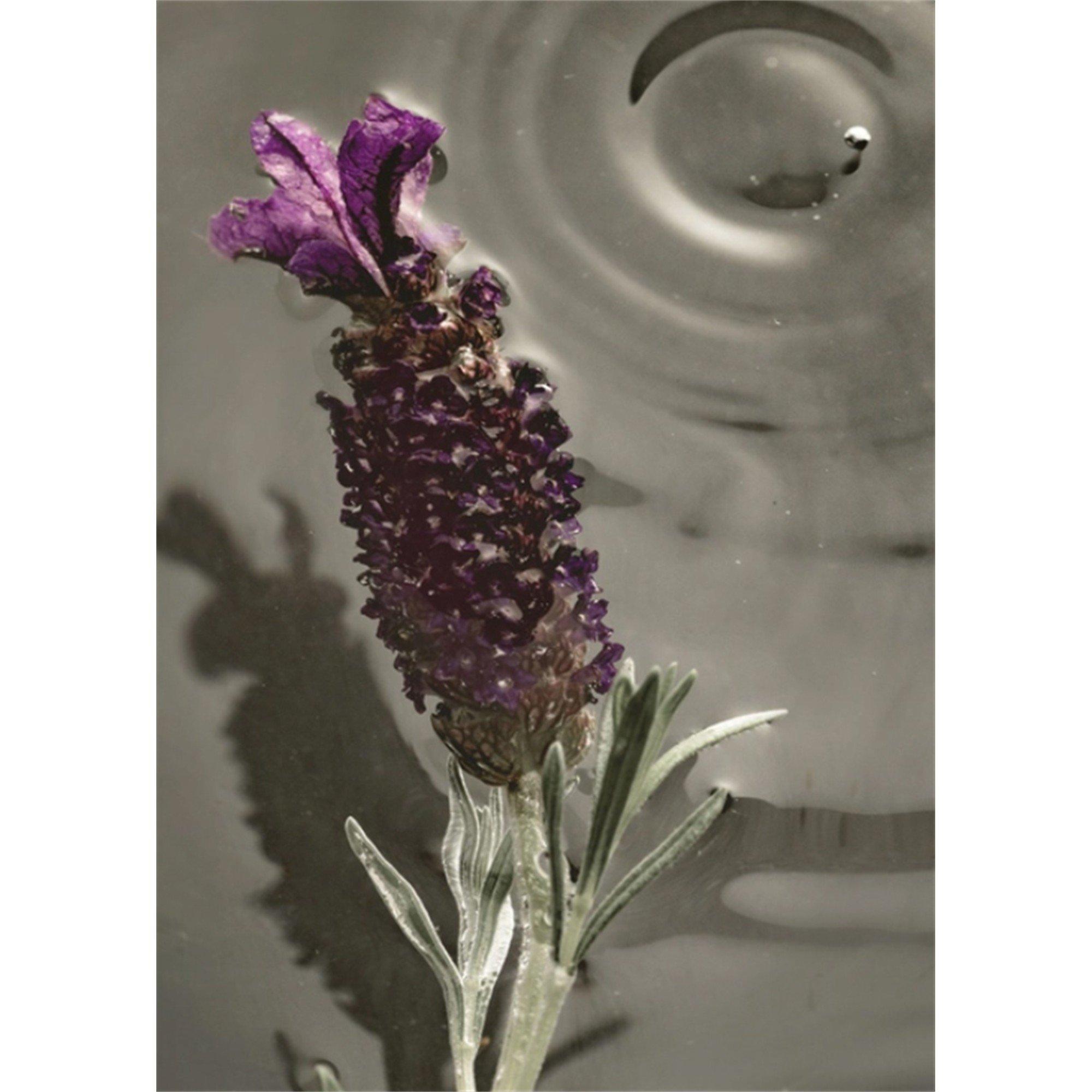 Not Applicable - Bamford - GARDEN LAVENDER CANDLE 22 - 6