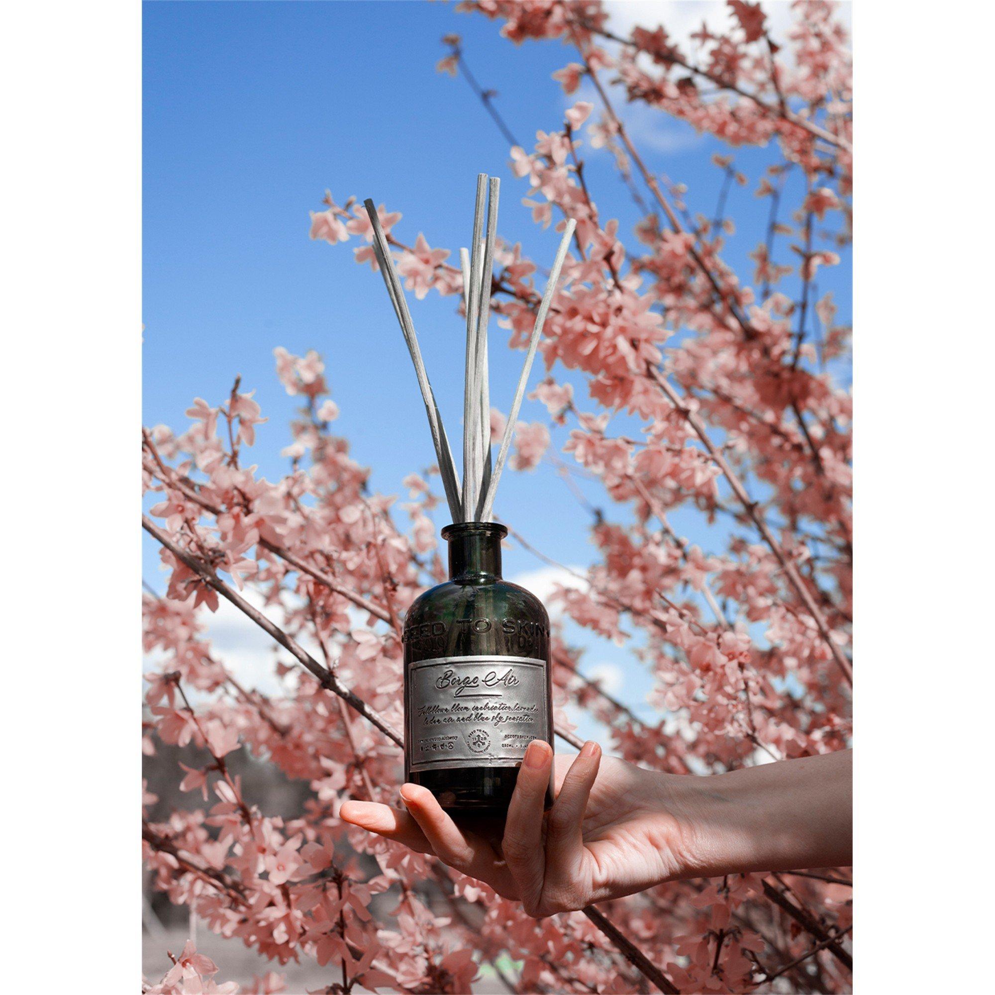Not Applicable - Seed to Skin - Borgo Air diffuser - 5