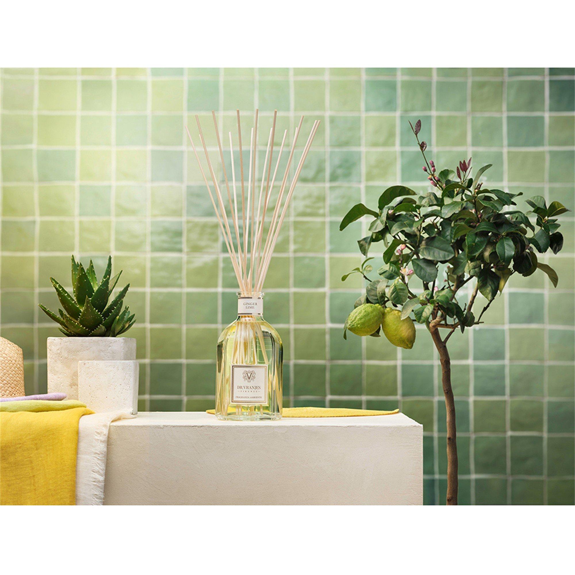 Not Applicable - Dr Vranjes Firenze - DRV GING LIME DIFFUSER 25 - 4