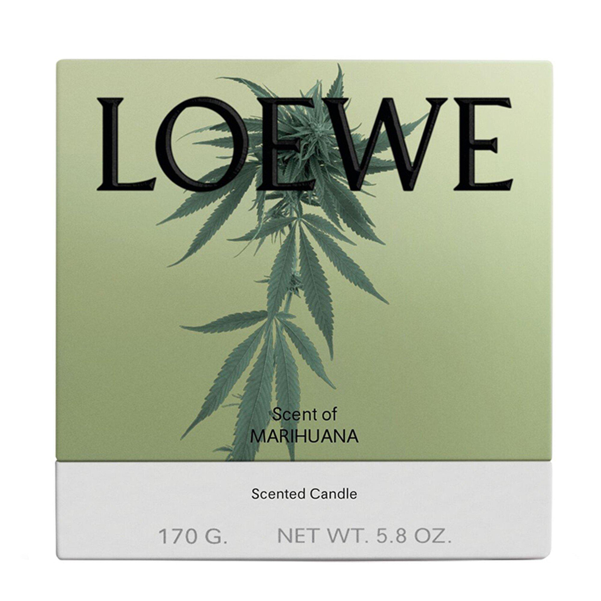 Not Applicable - Loewe - MARIHUANA CANDLE - 2