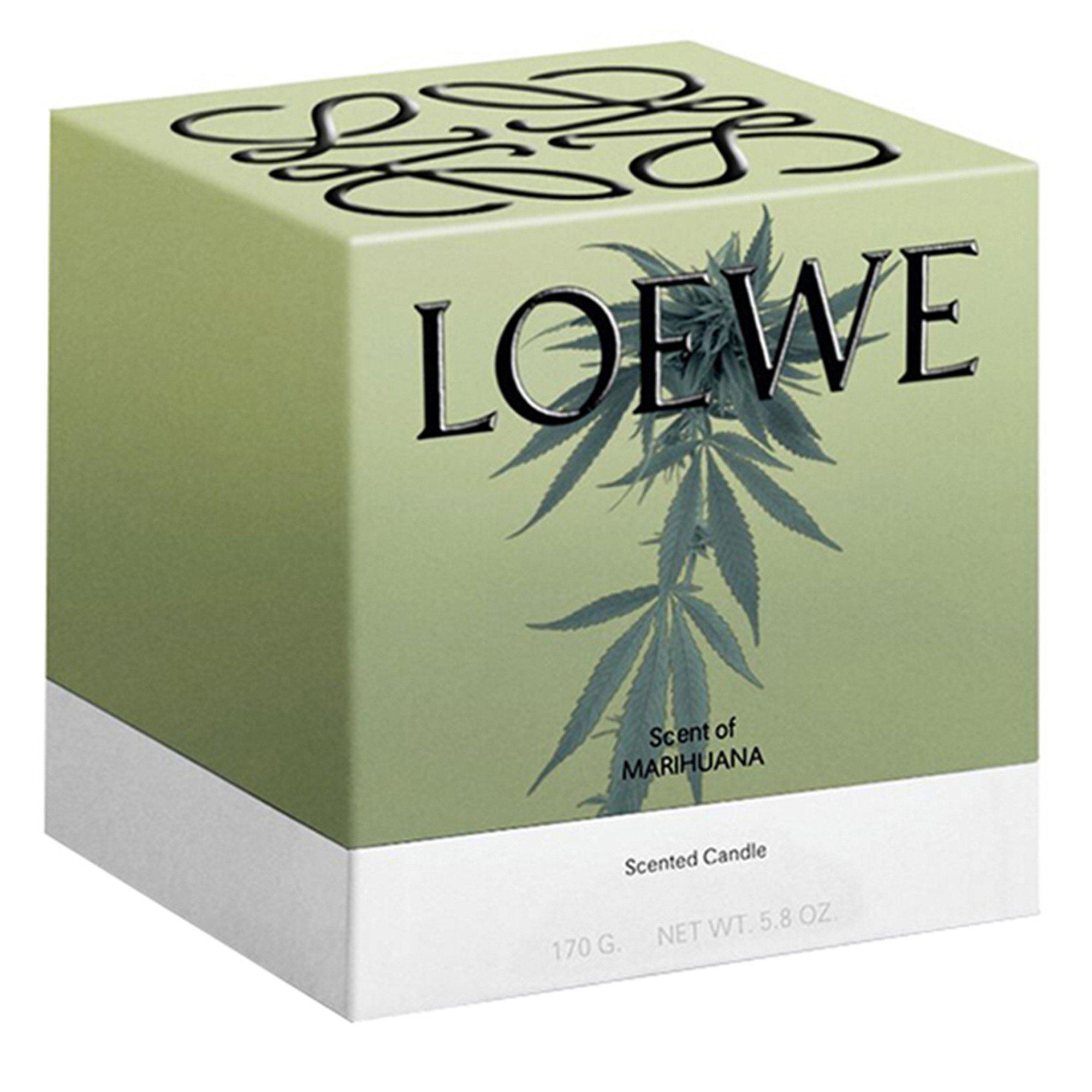 Not Applicable - Loewe - MARIHUANA CANDLE - 3