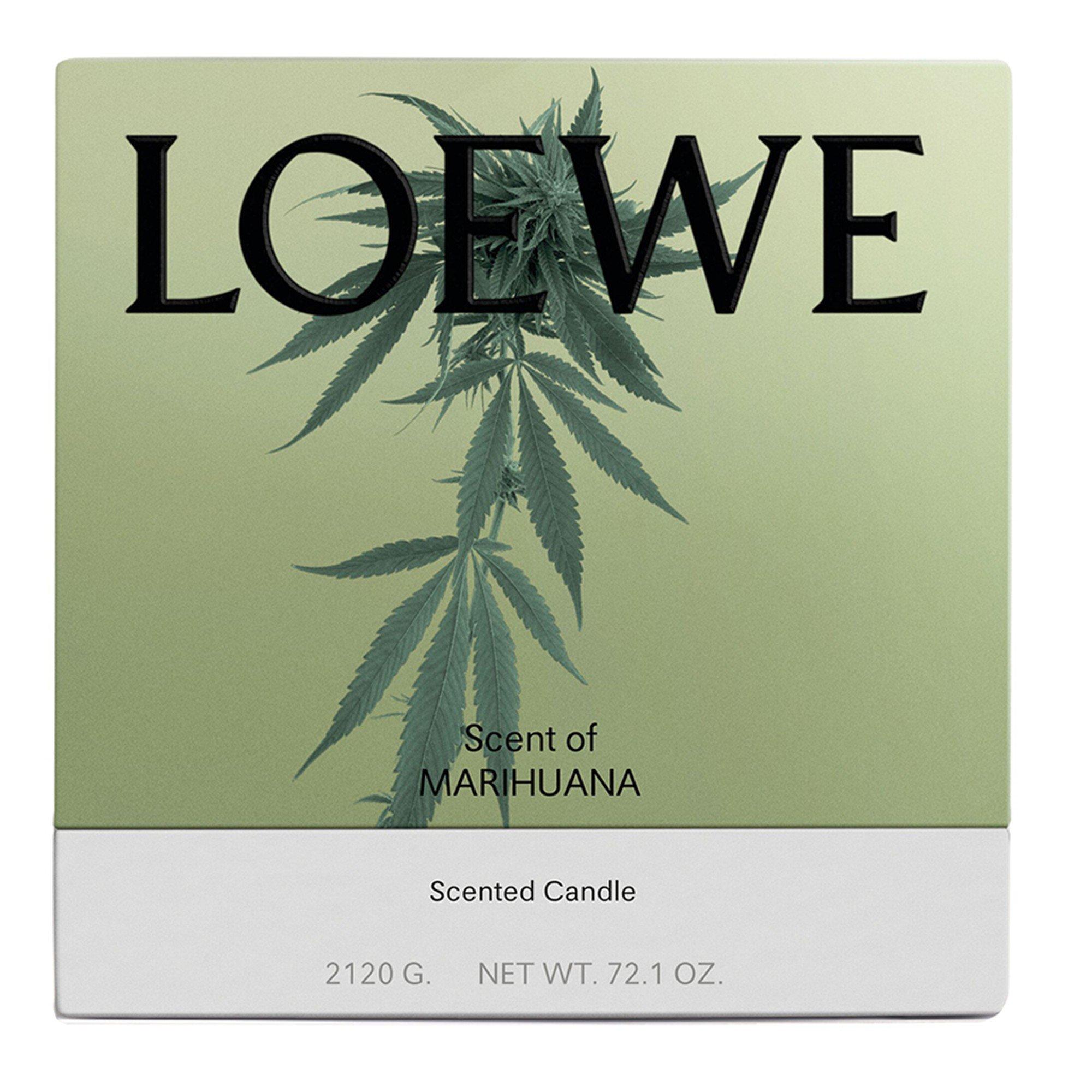 Not Applicable - Loewe - LARGE MARIHUANA CANDLE - 2