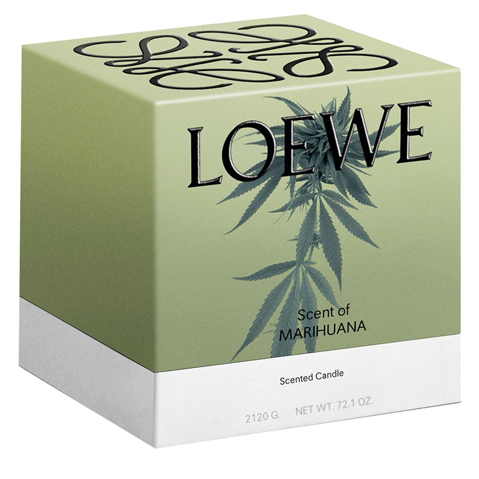 Not Applicable - Loewe - LARGE MARIHUANA CANDLE - 3