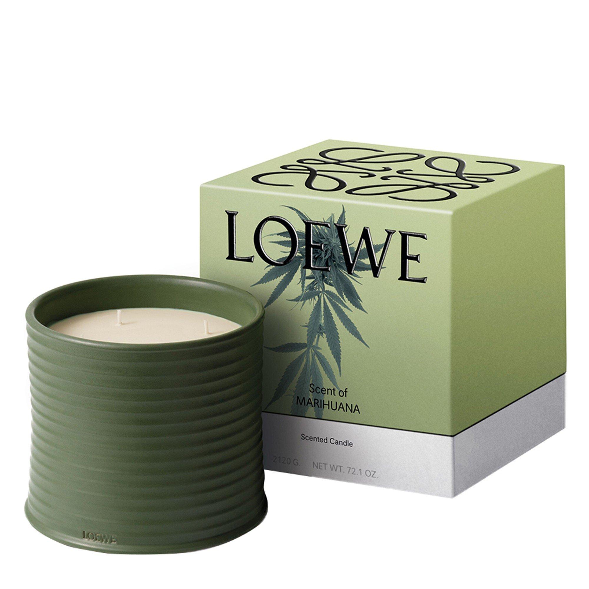 Not Applicable - Loewe - LARGE MARIHUANA CANDLE - 6