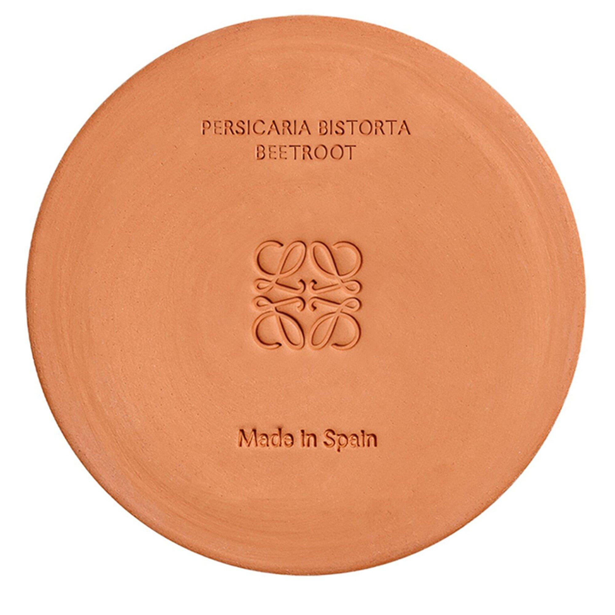 Not Applicable - Loewe - MEDIUM BEETROOT CANDLE - 5