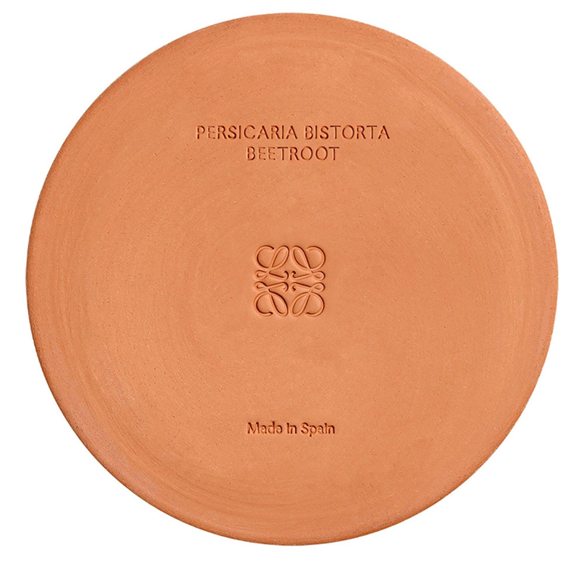 Not Applicable - LOEWE - LARGE BEETROOT CANDLE - 5