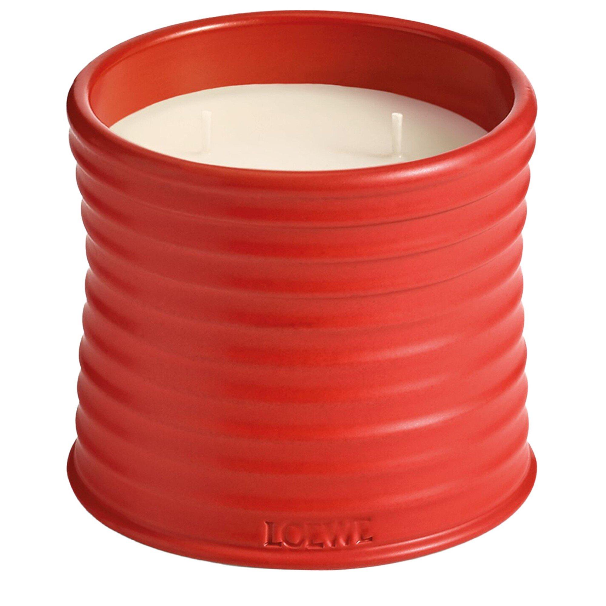 Not Applicable - Loewe - MEDIUM TOMATO LEAVES CAND - 1