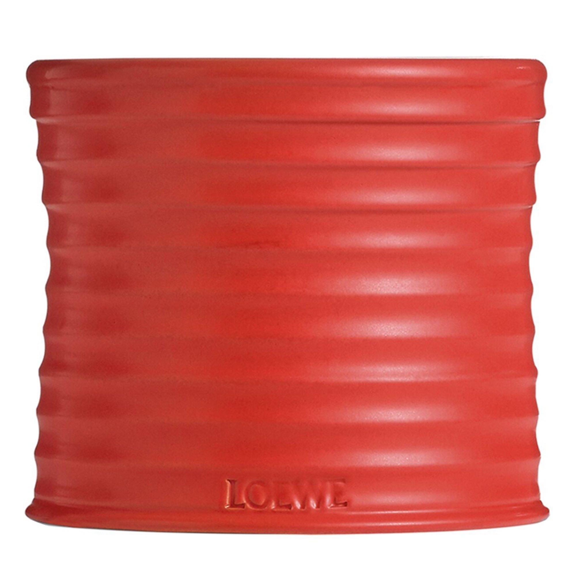 Not Applicable - Loewe - MEDIUM TOMATO LEAVES CAND - 2