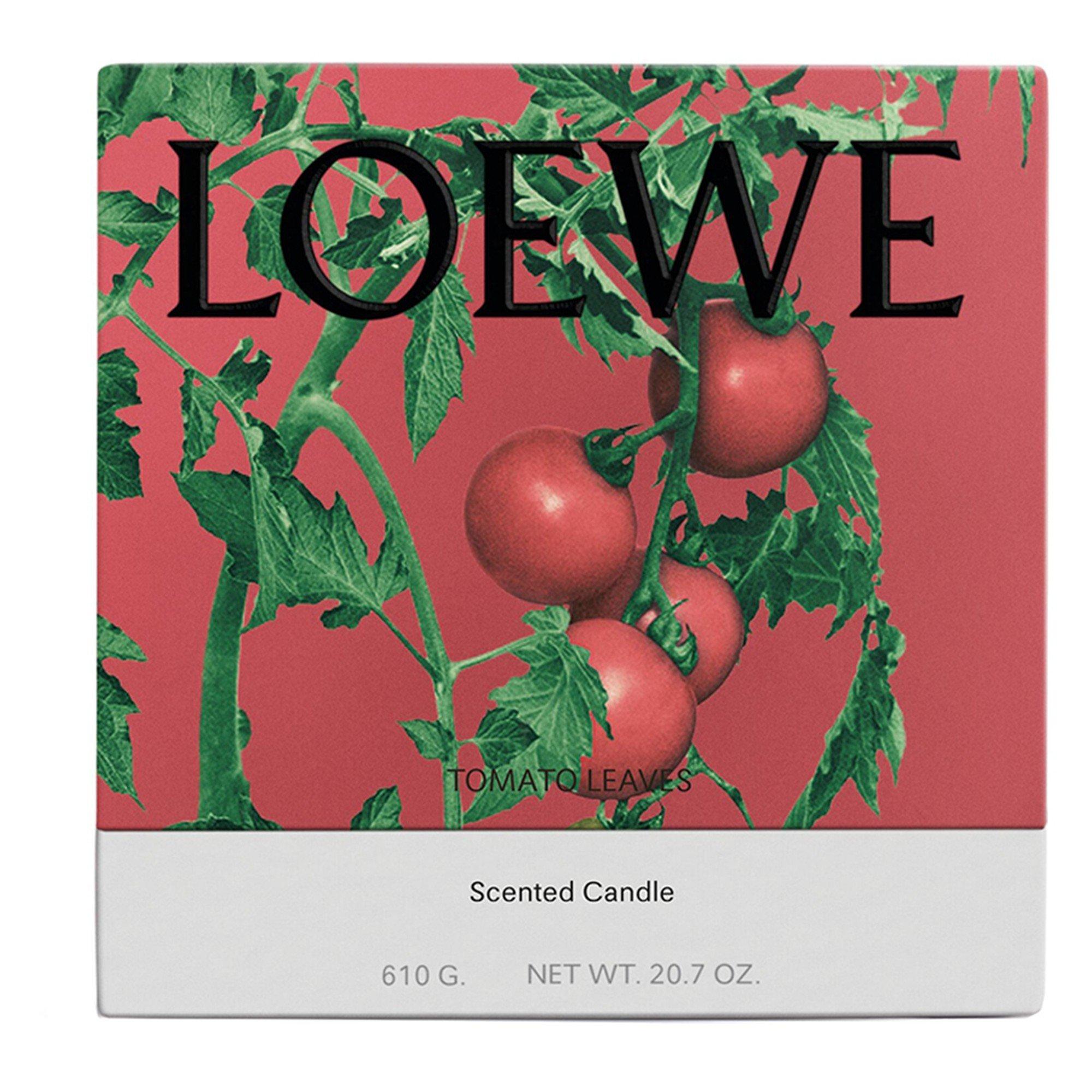 Not Applicable - Loewe - MEDIUM TOMATO LEAVES CAND - 3