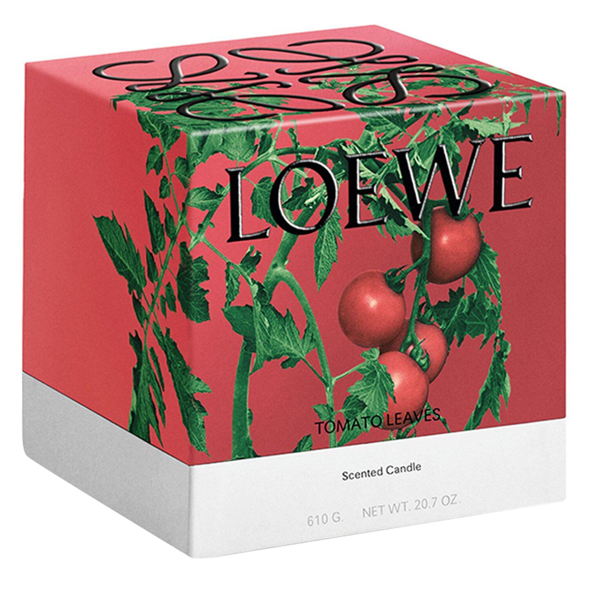 Not Applicable - Loewe - MEDIUM TOMATO LEAVES CAND - 4