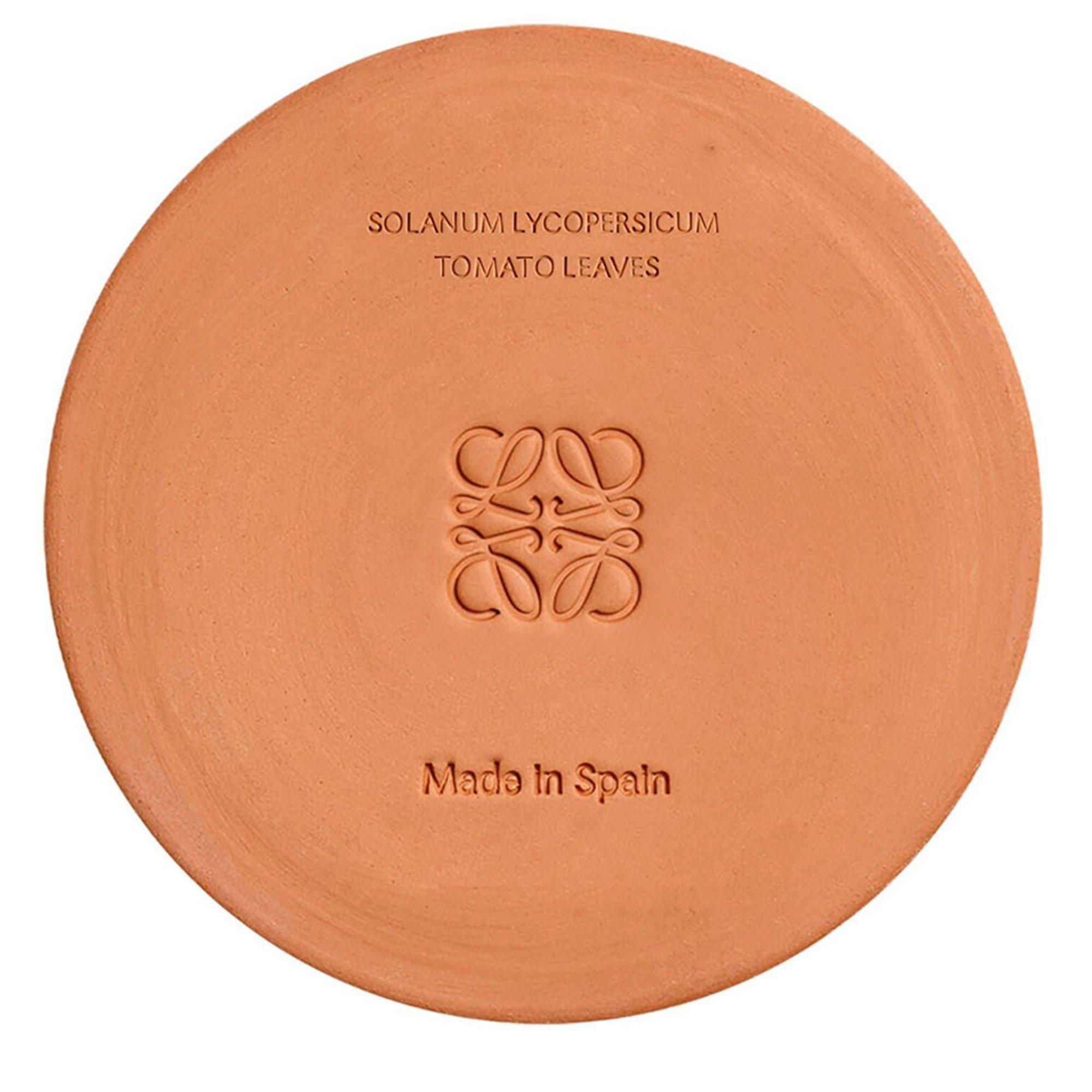 Not Applicable - Loewe - MEDIUM TOMATO LEAVES CAND - 5