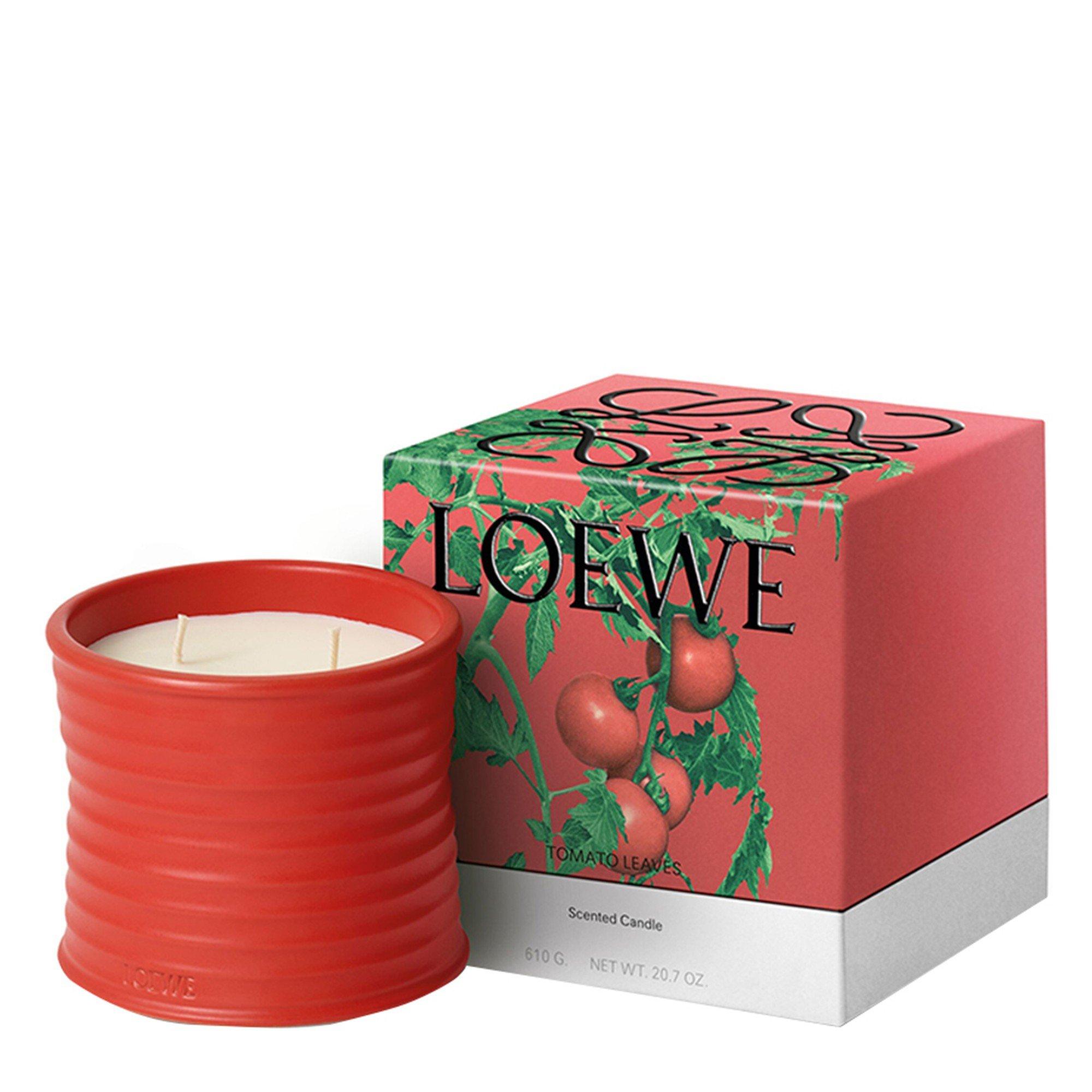Not Applicable - Loewe - MEDIUM TOMATO LEAVES CAND - 6