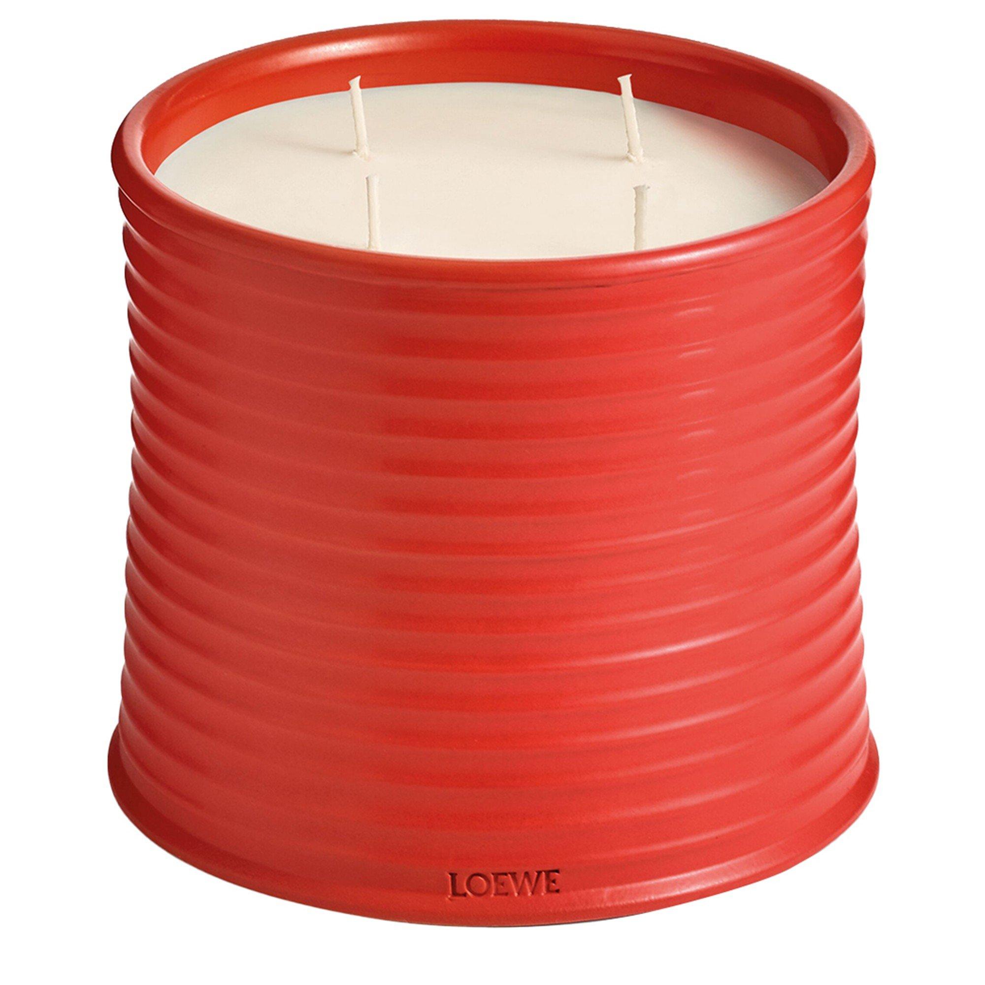 Not Applicable - Loewe - LARGE TOMATO LEAVES CANDL - 1