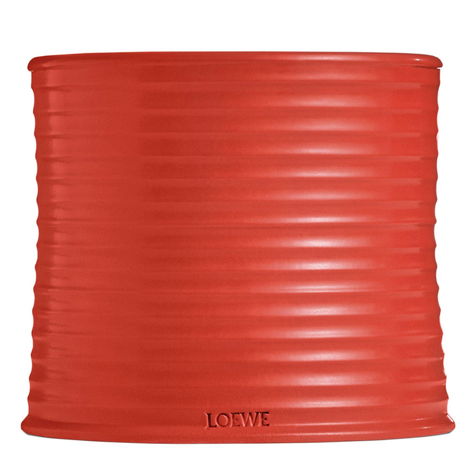 Not Applicable - Loewe - LARGE TOMATO LEAVES CANDL - 2