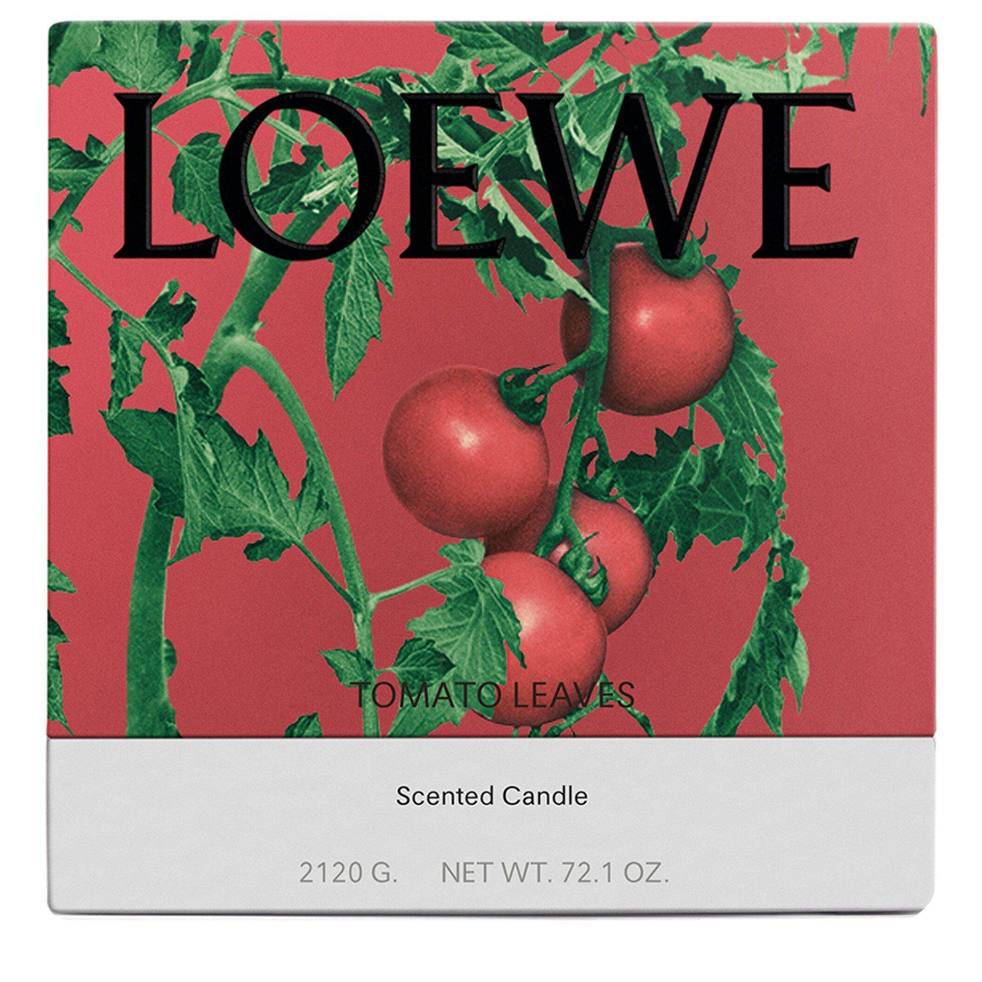 Not Applicable - Loewe - LARGE TOMATO LEAVES CANDL - 3