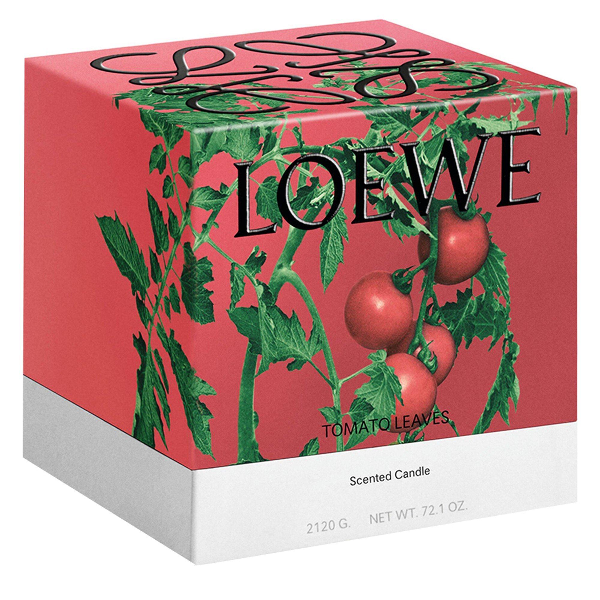 Not Applicable - Loewe - LARGE TOMATO LEAVES CANDL - 4