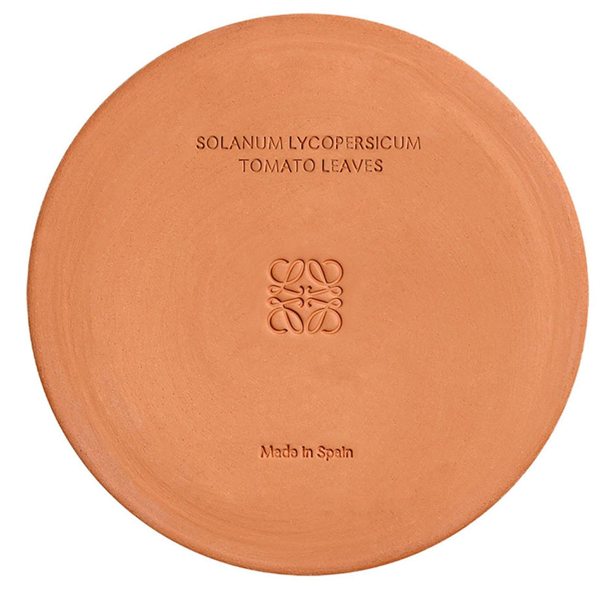 Not Applicable - Loewe - LARGE TOMATO LEAVES CANDL - 5