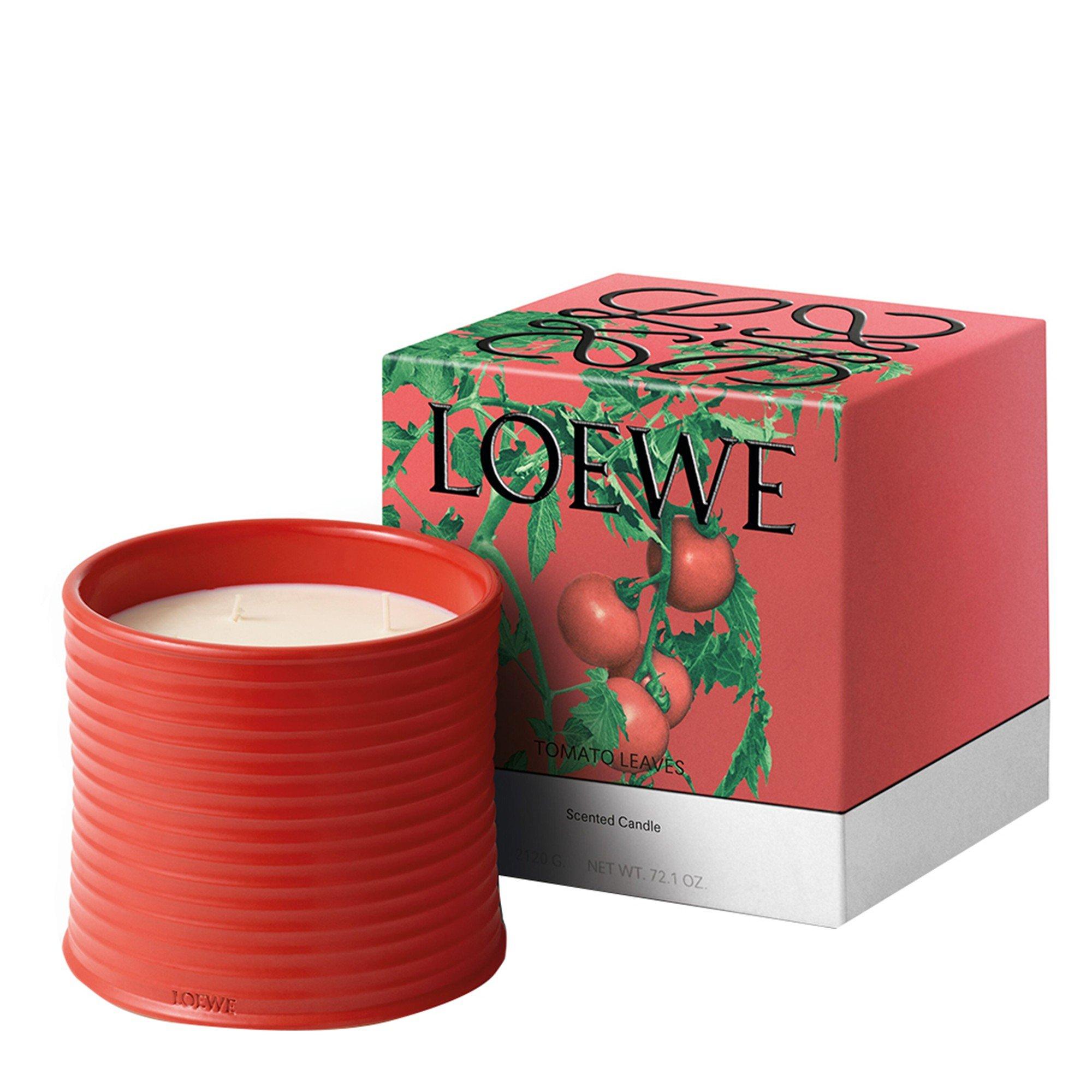 Not Applicable - Loewe - LARGE TOMATO LEAVES CANDL - 6