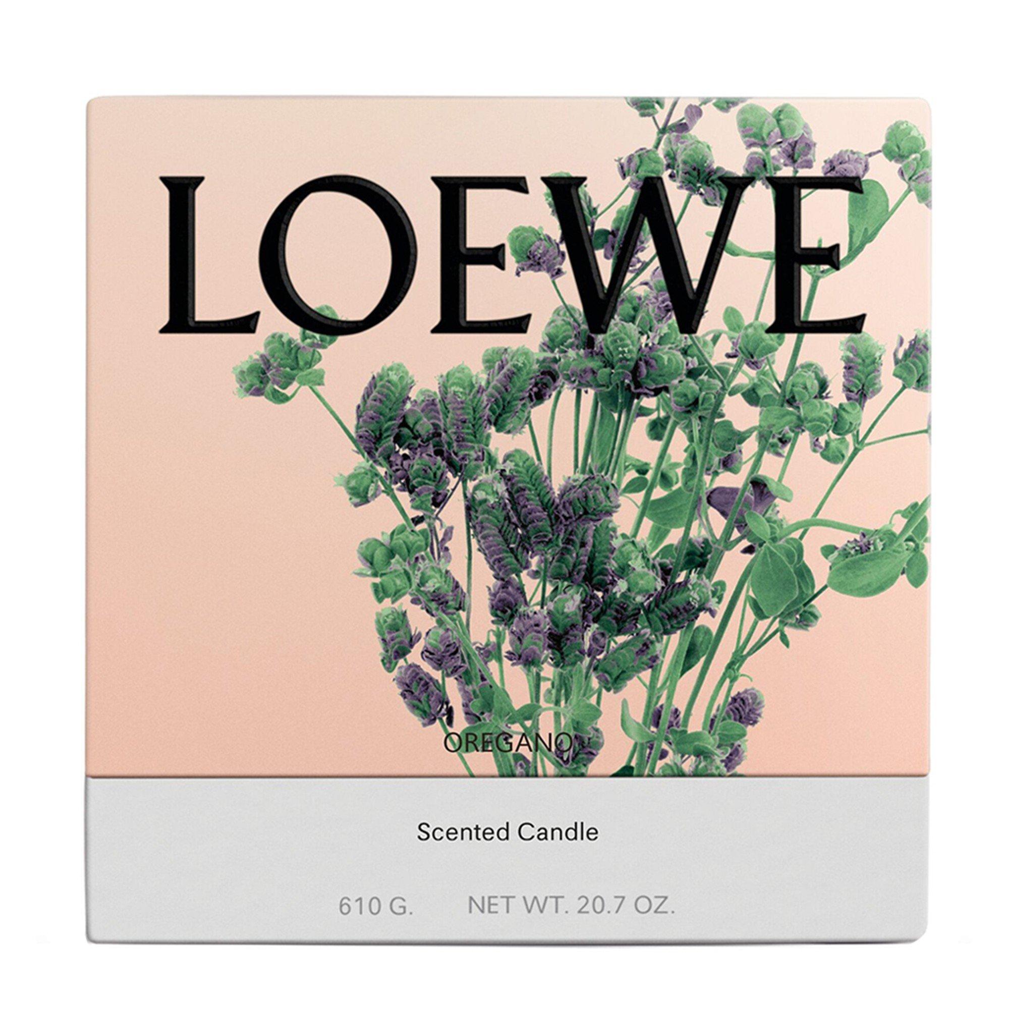 Not Applicable - Loewe - MEDIUM OREGANO CANDLE - 2