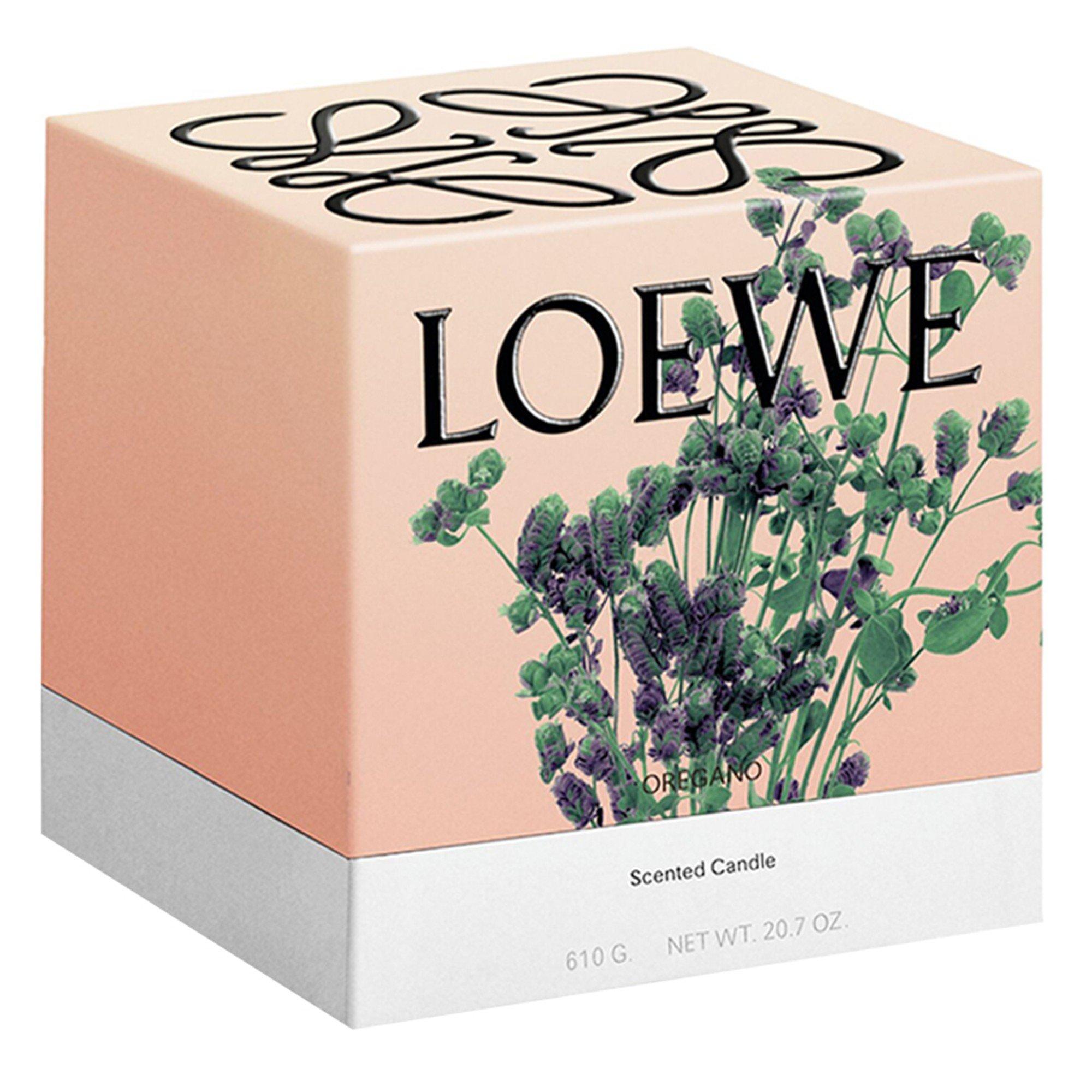 Not Applicable - Loewe - MEDIUM OREGANO CANDLE - 3