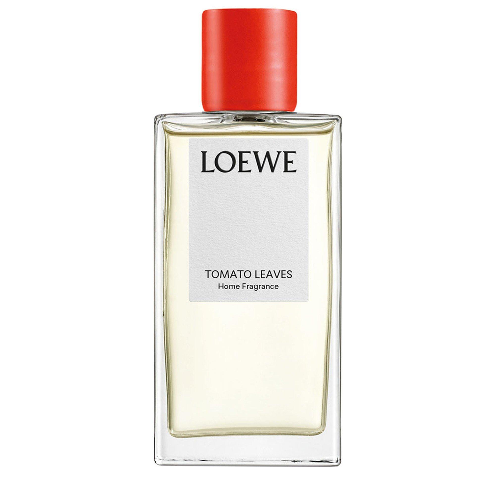 Not Applicable - Loewe - TOMATO LEAVES HOME FRAGRA - 1