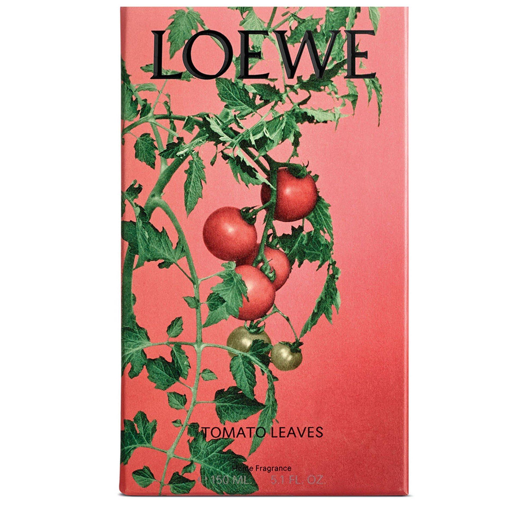 Not Applicable - Loewe - TOMATO LEAVES HOME FRAGRA - 2