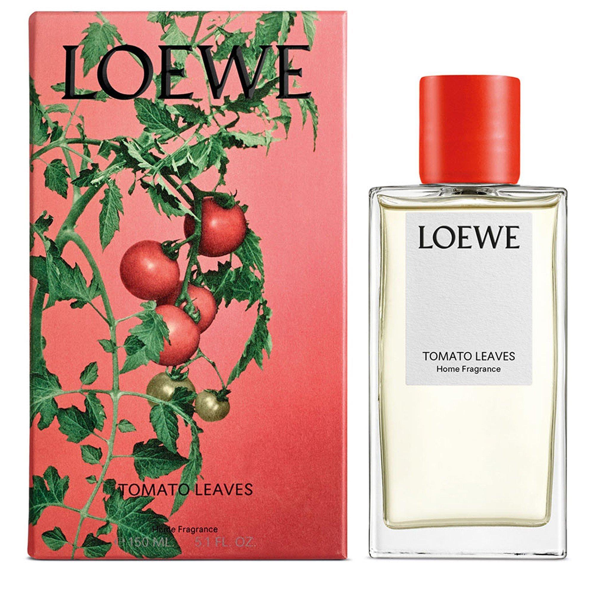Not Applicable - Loewe - TOMATO LEAVES HOME FRAGRA - 3