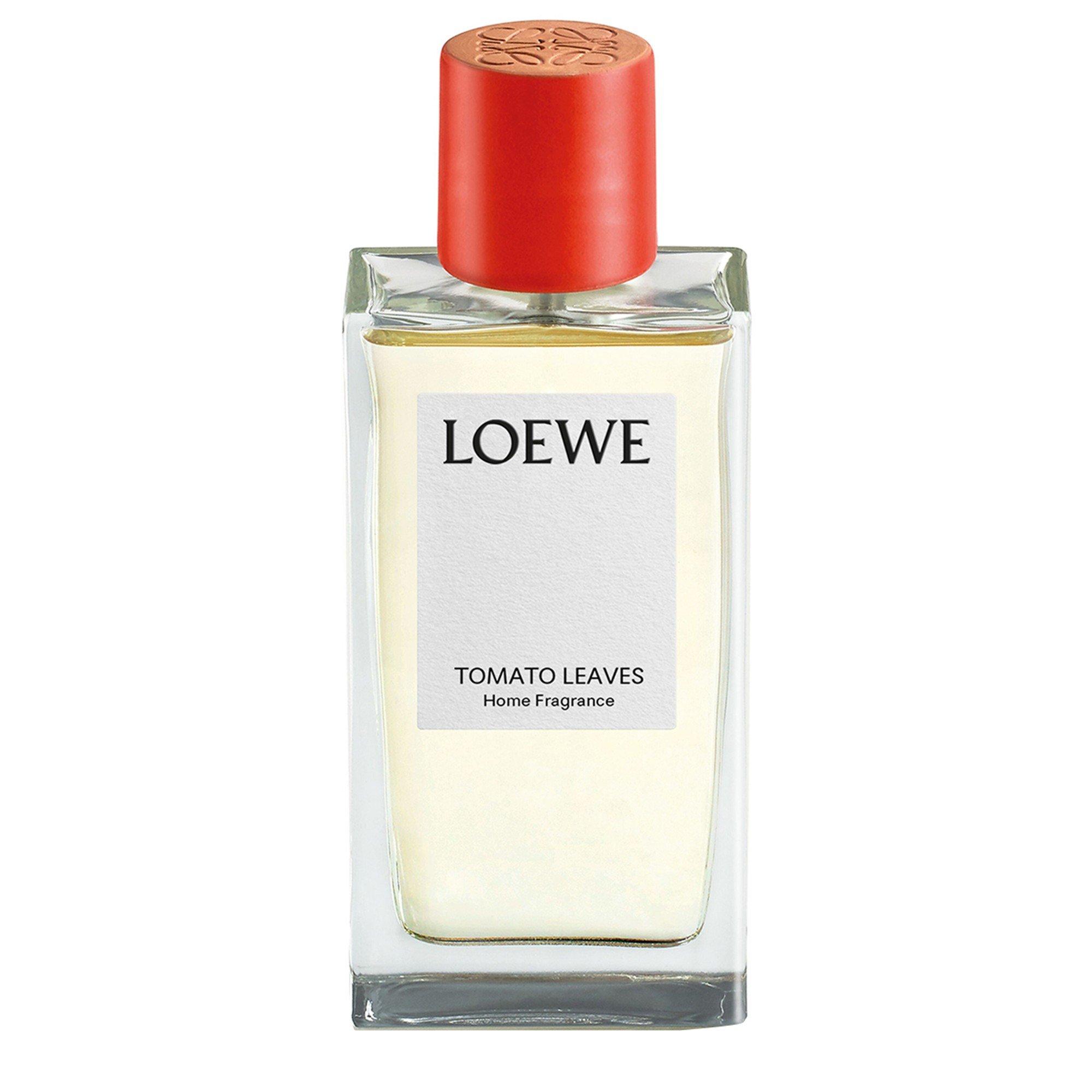 Not Applicable - Loewe - TOMATO LEAVES HOME FRAGRA - 4