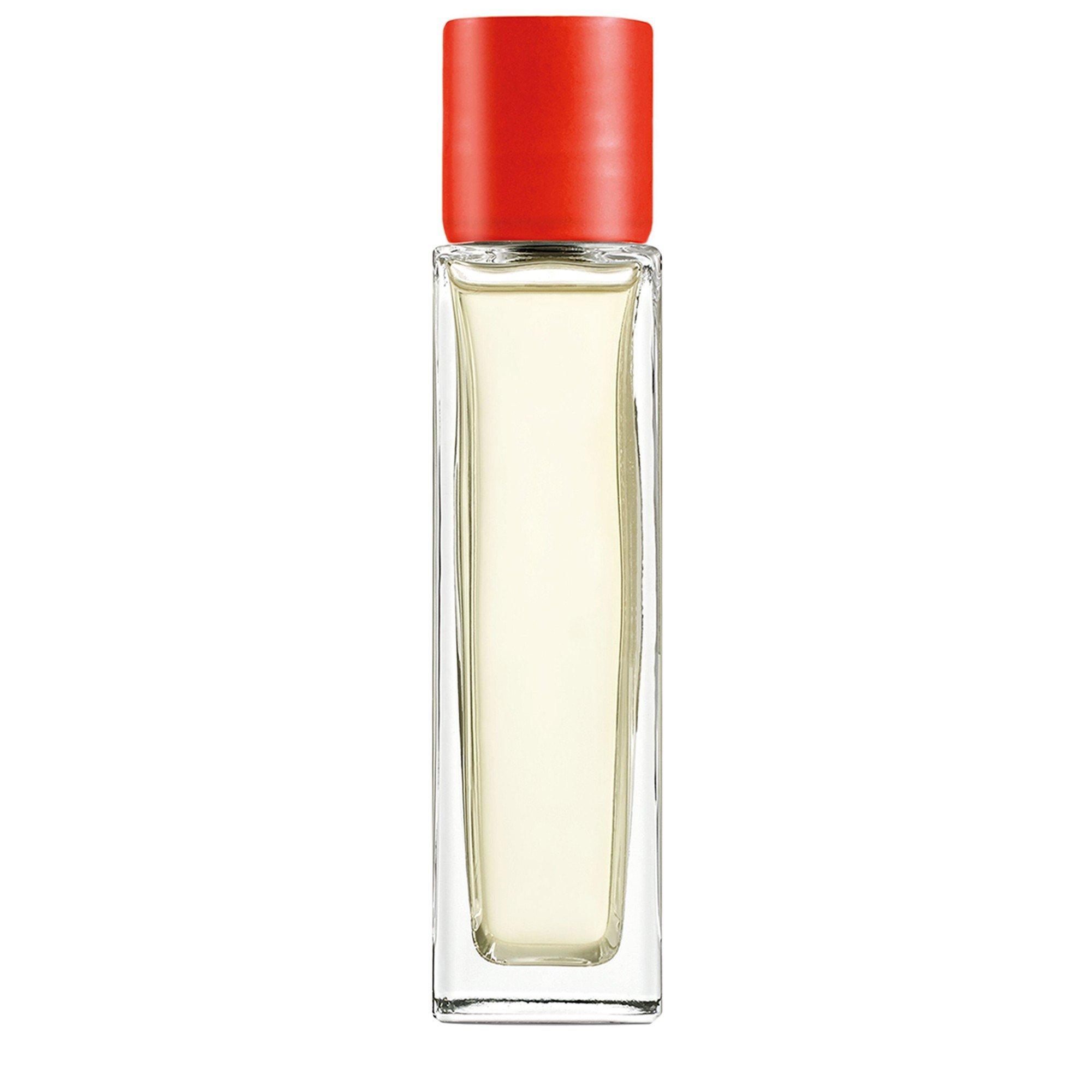 Not Applicable - Loewe - TOMATO LEAVES HOME FRAGRA - 5