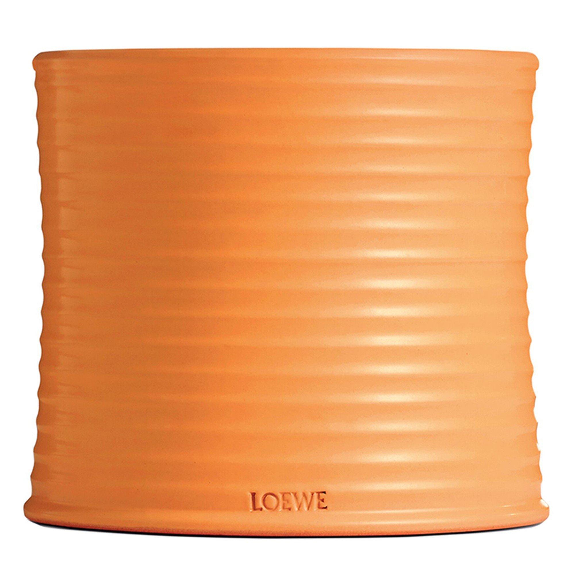 Not Applicable - Loewe - LARGE ORANGE BLOSSOM CAND - 1