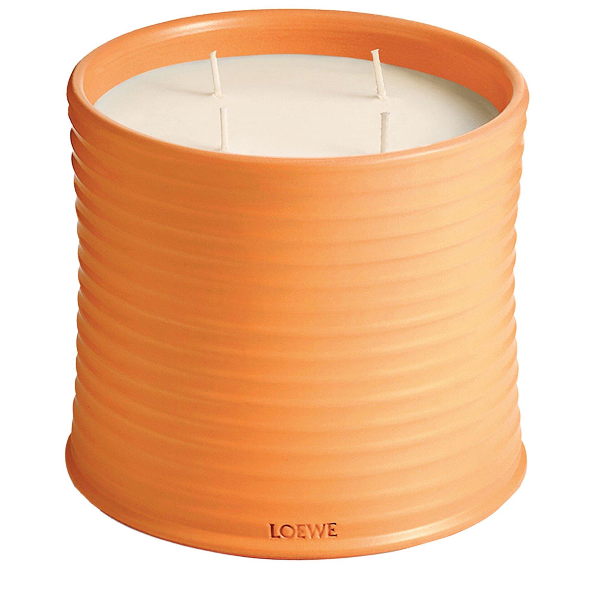 Not Applicable - Loewe - LARGE ORANGE BLOSSOM CAND - 2
