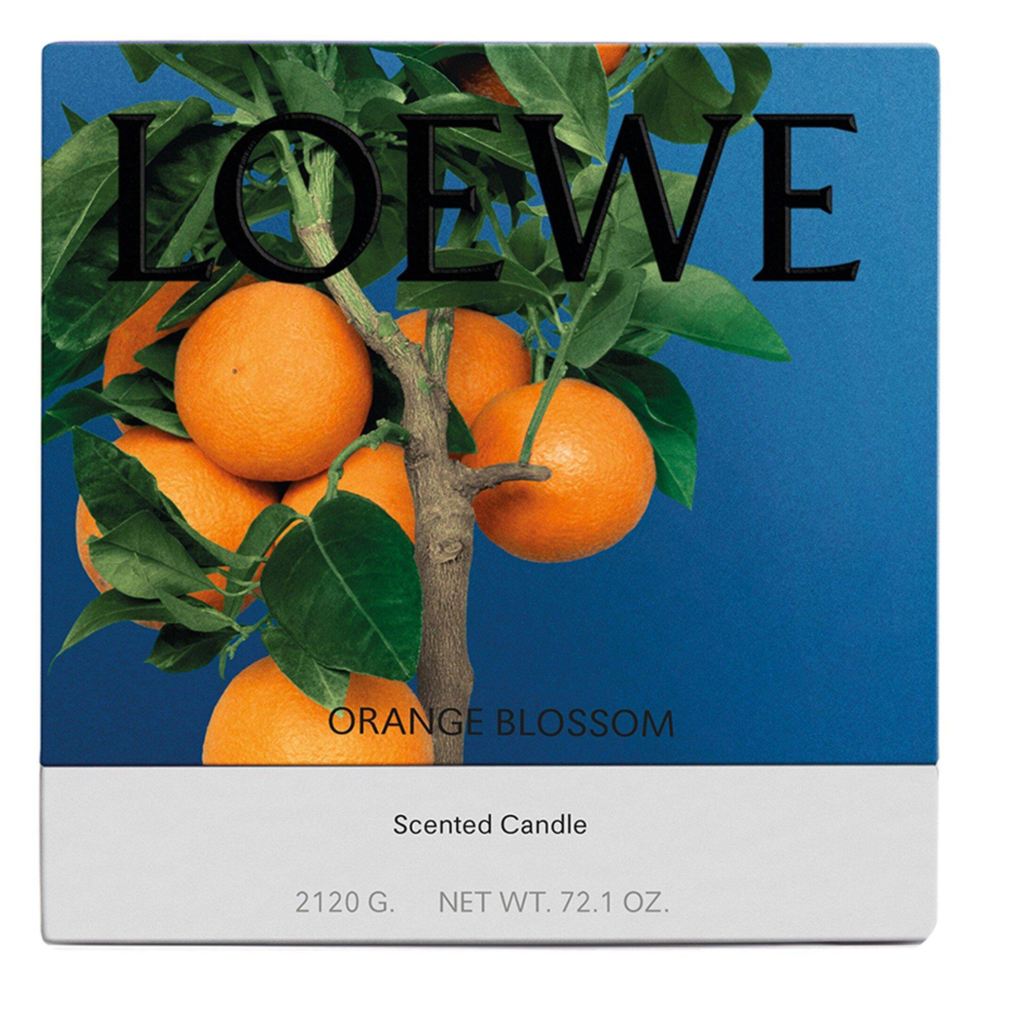 Not Applicable - Loewe - LARGE ORANGE BLOSSOM CAND - 3