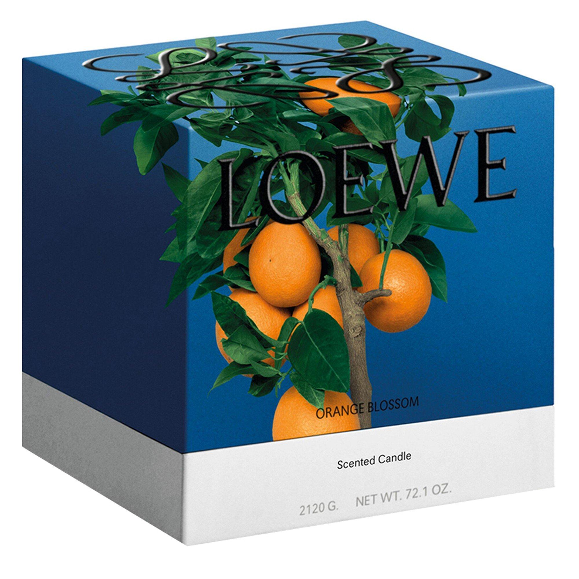 Not Applicable - Loewe - LARGE ORANGE BLOSSOM CAND - 4