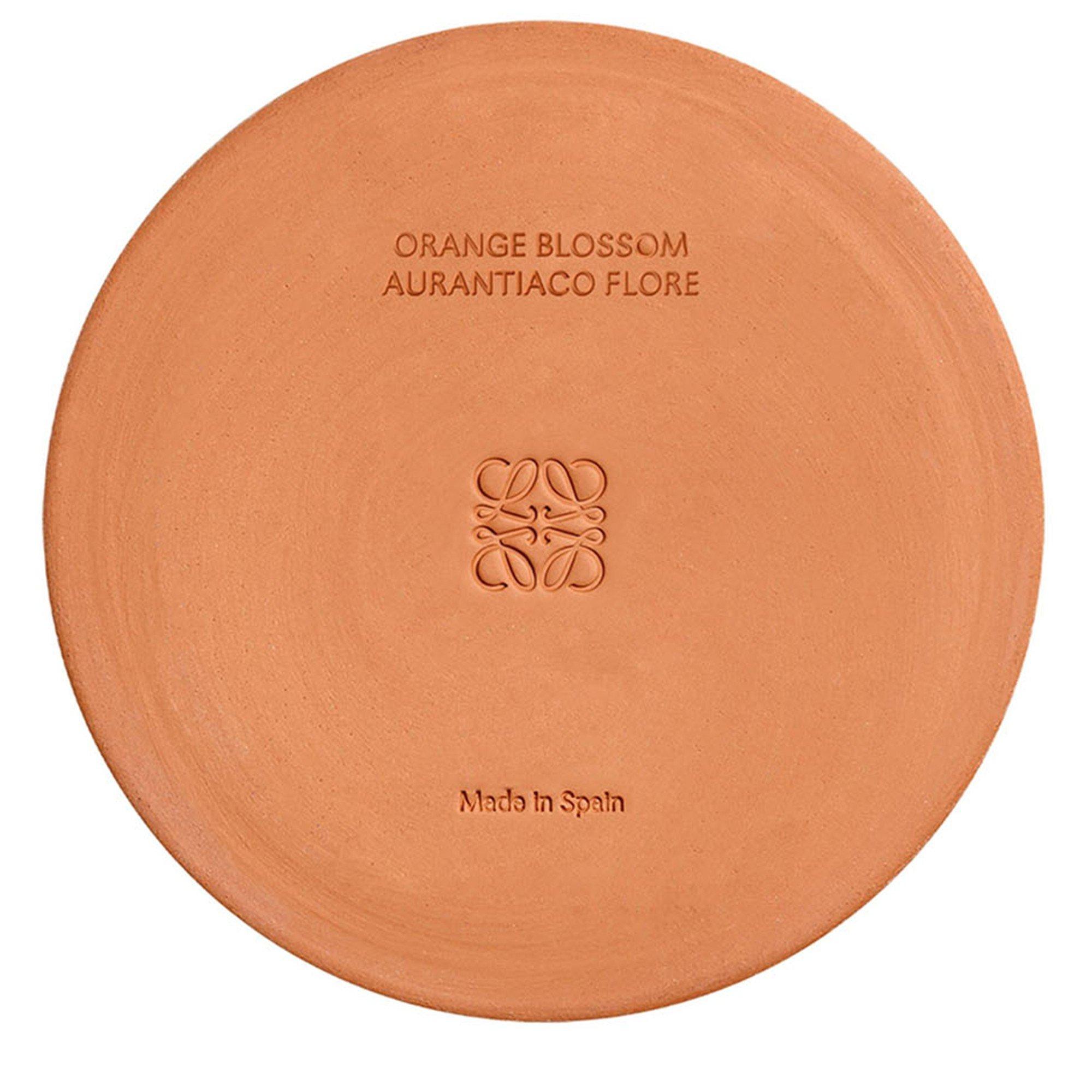 Not Applicable - Loewe - LARGE ORANGE BLOSSOM CAND - 5